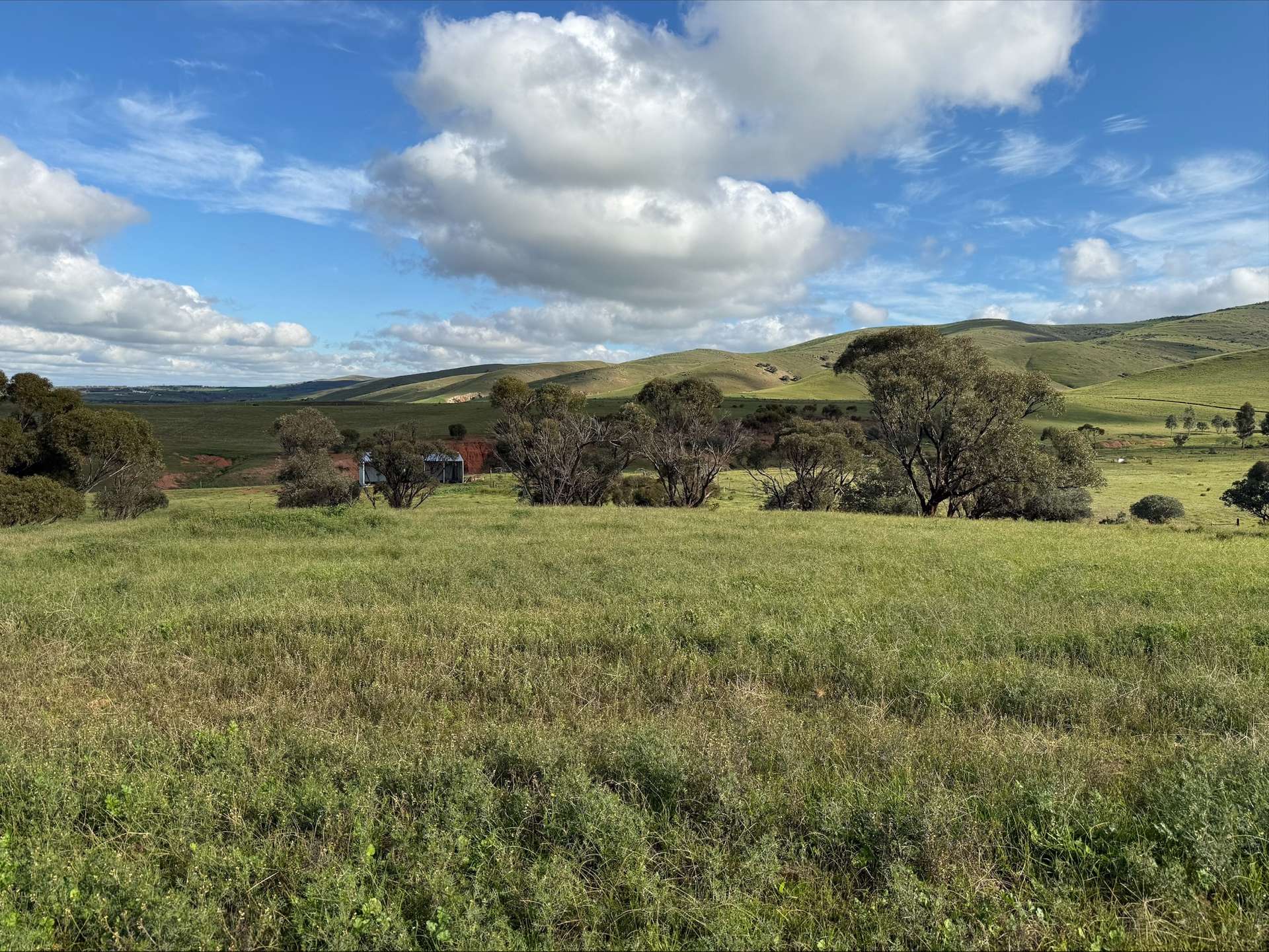 480 Three Chain Road, Cambrai For Sale by Farmbuy.com - image 18
