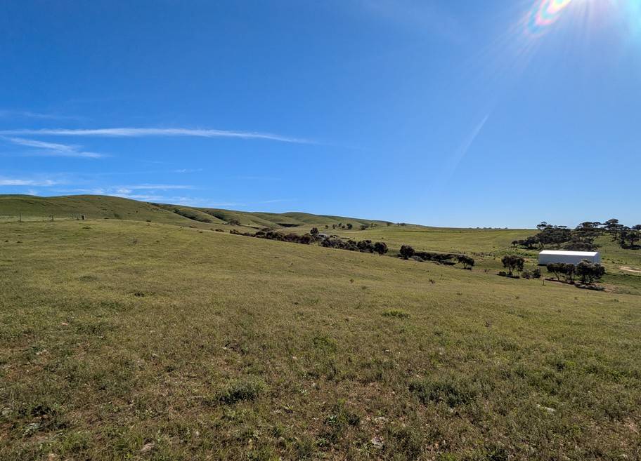 480 Three Chain Road, Cambrai For Sale by Farmbuy.com - image 20