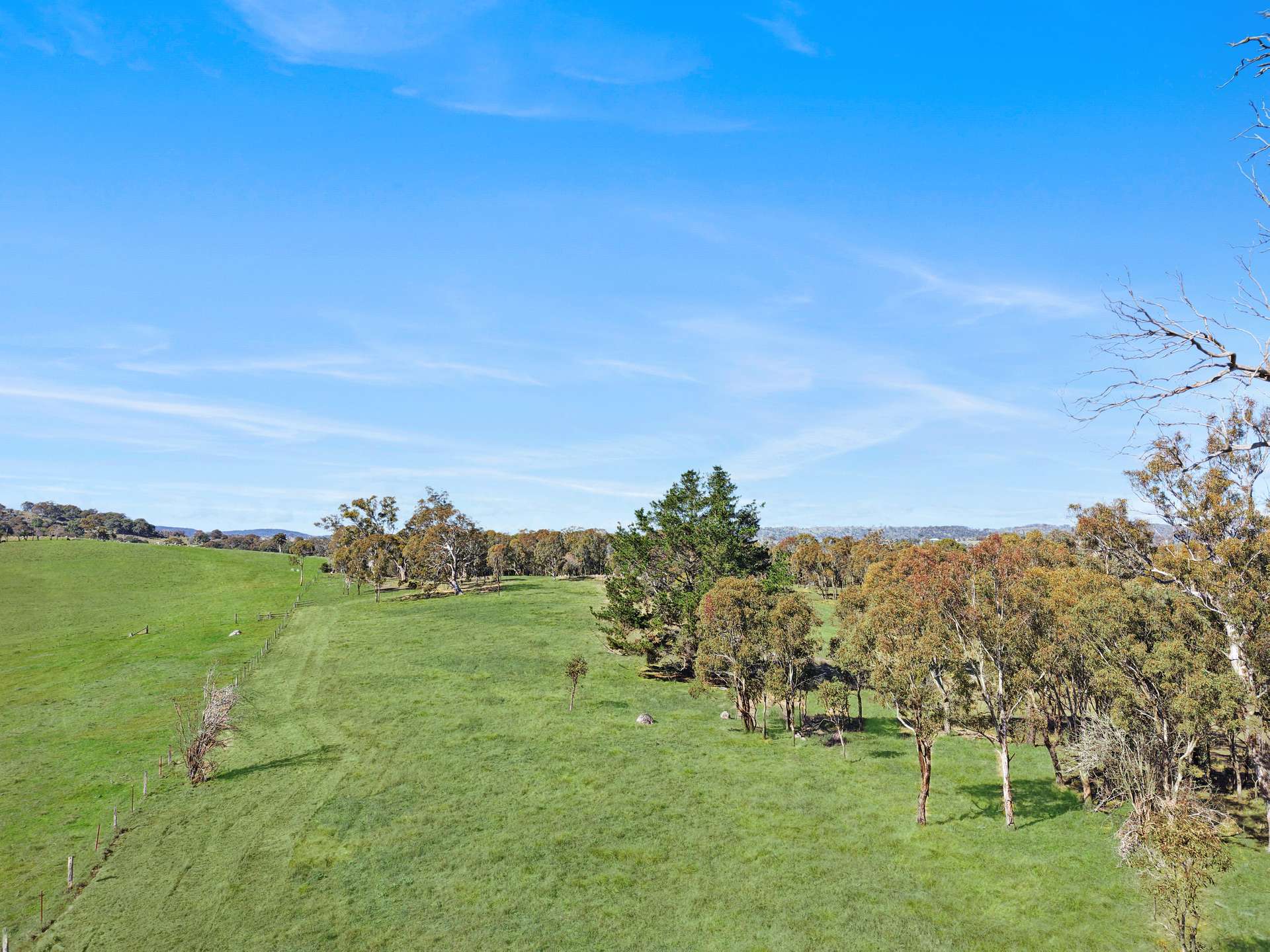 120B - 120A Millers Lane, Tenterfield For Sale by Farmbuy.com - image 3