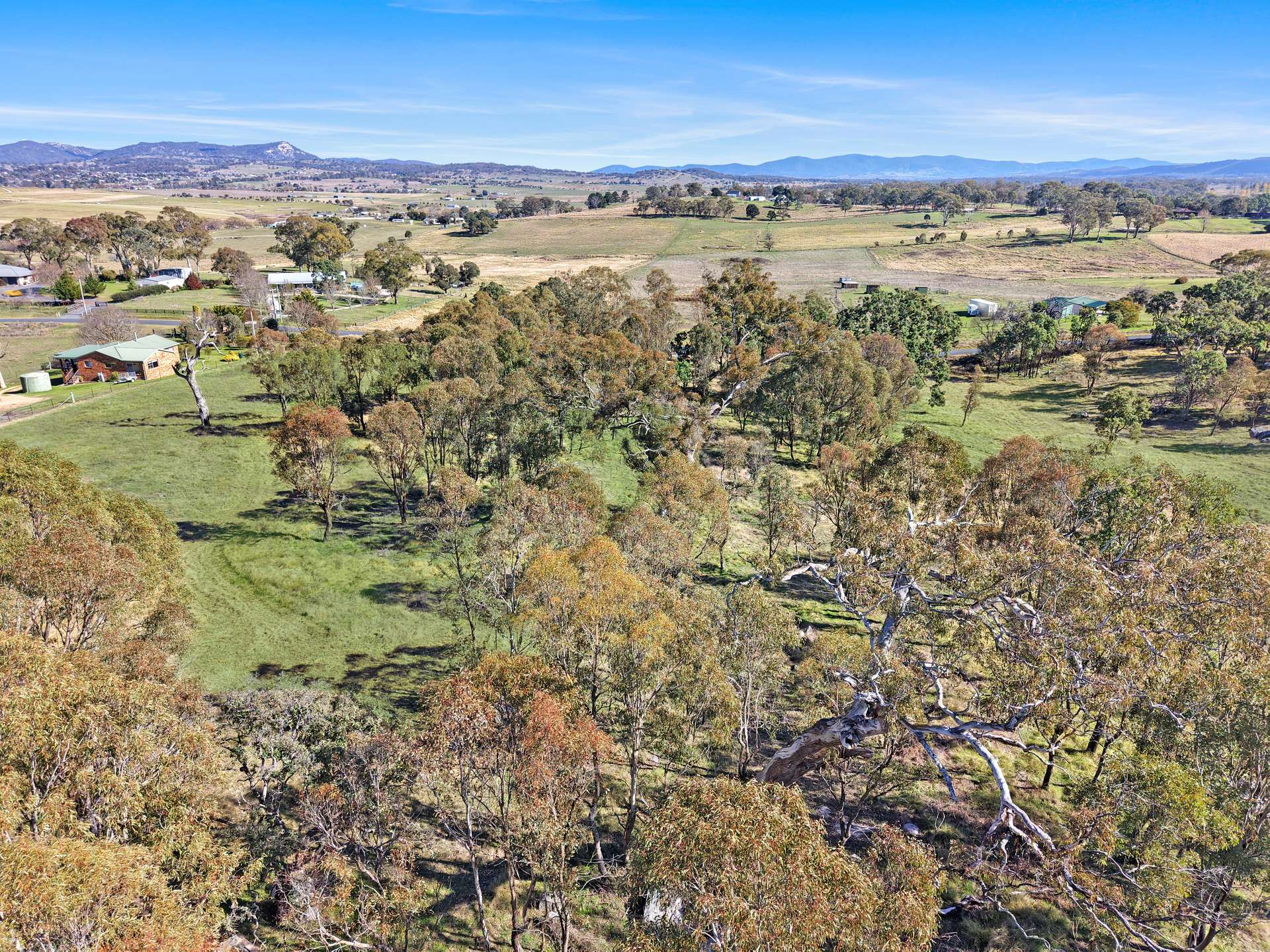 120B - 120A Millers Lane, Tenterfield For Sale by Farmbuy.com - image 4