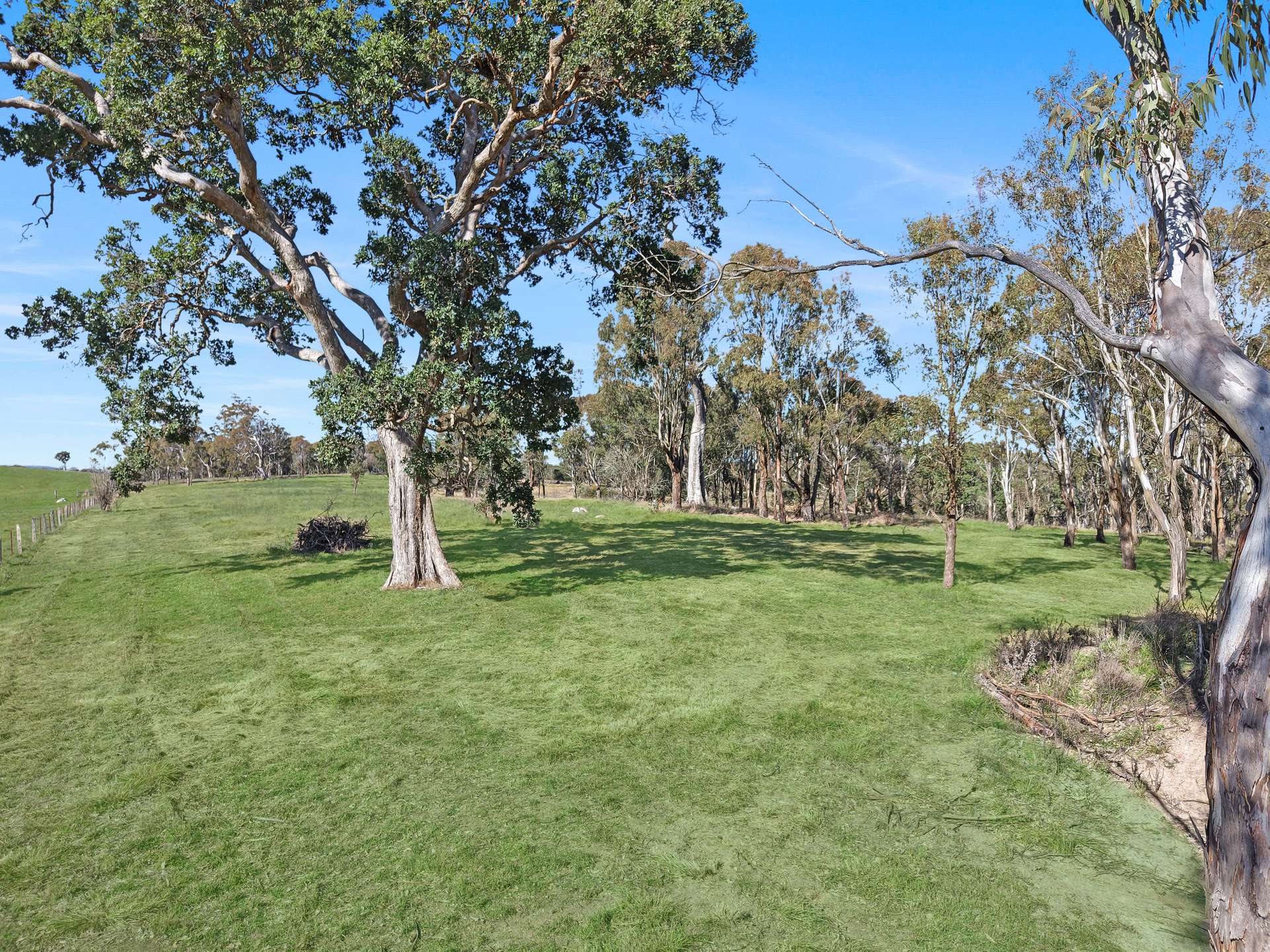 144 - 120A Millers Lane, Tenterfield For Sale by Farmbuy.com - image 1