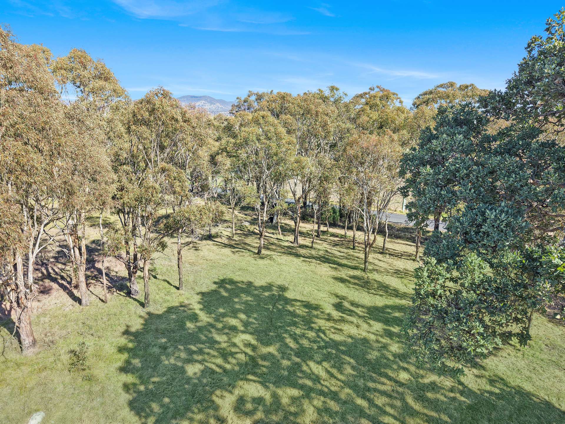 120B - 120A Millers Lane, Tenterfield For Sale by Farmbuy.com - image 2
