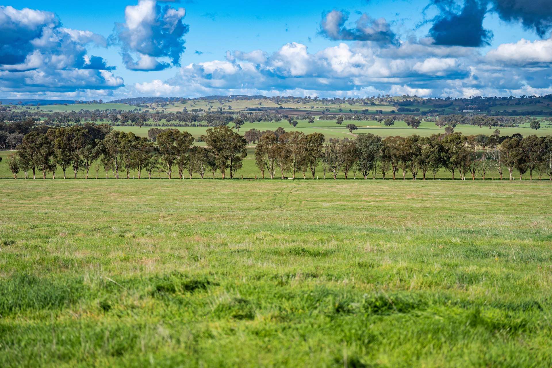 3015 Urana Road, Burrumbuttock For Sale by Farmbuy.com - image 10