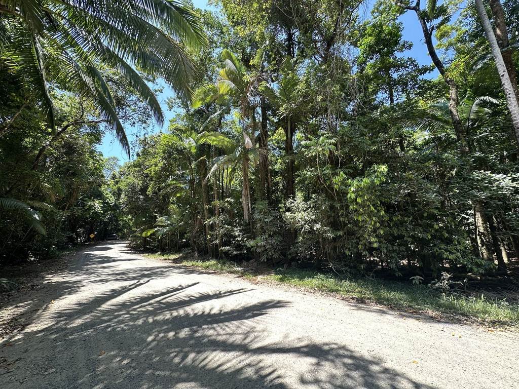 Cape Tribulation QLD 4873