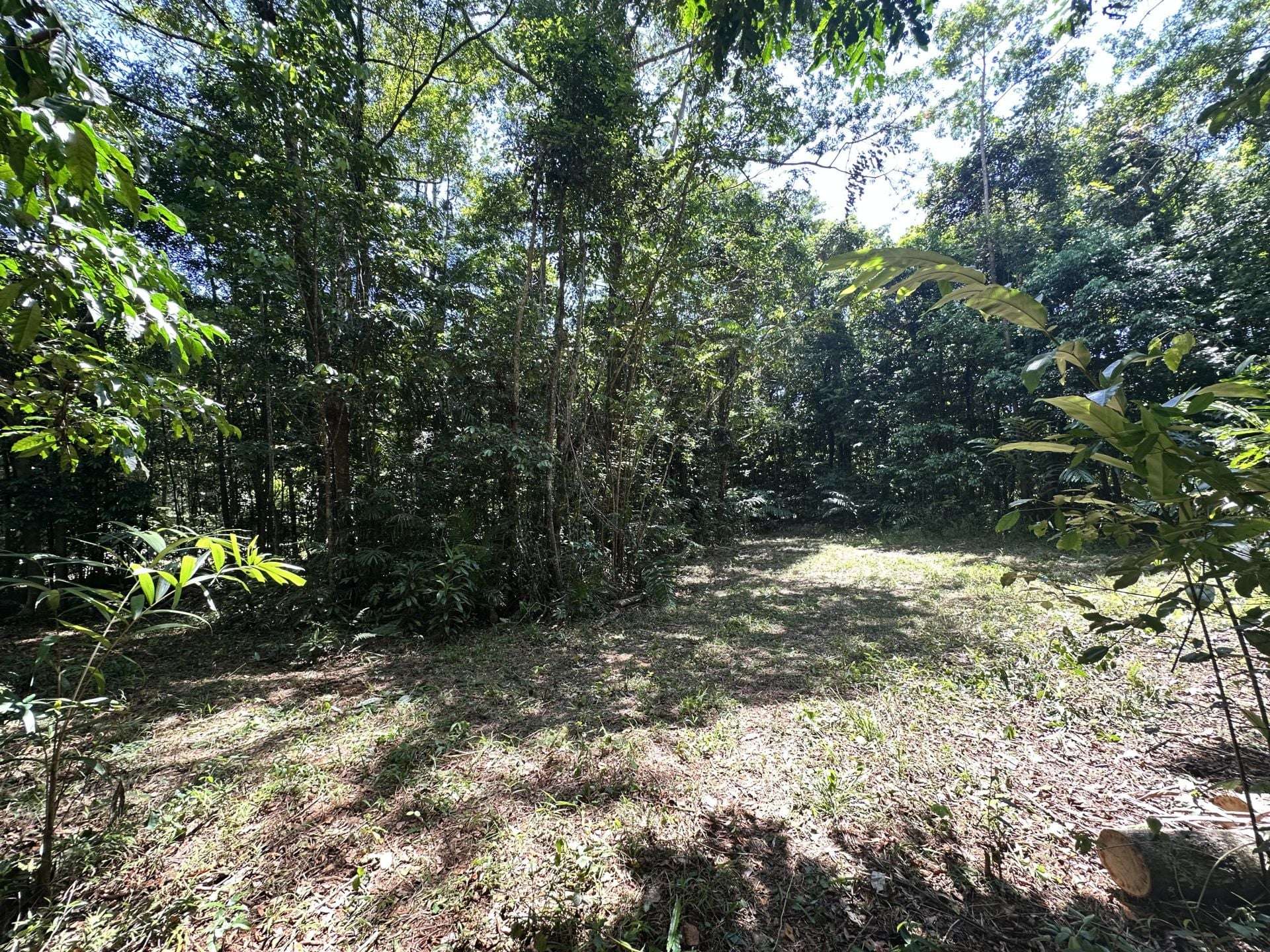 Cape Tribulation For Sale by Farmbuy.com - image 19