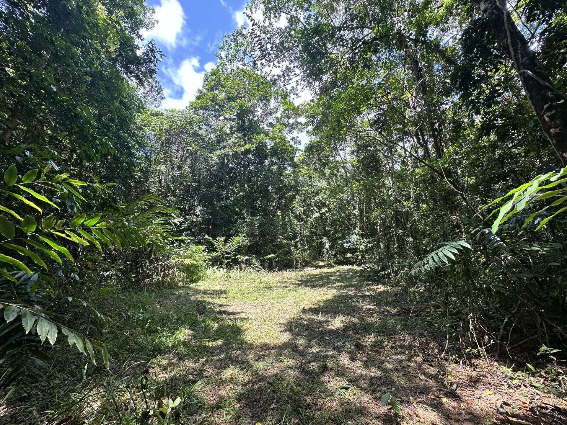 Cape Tribulation For Sale by Farmbuy.com - image 11