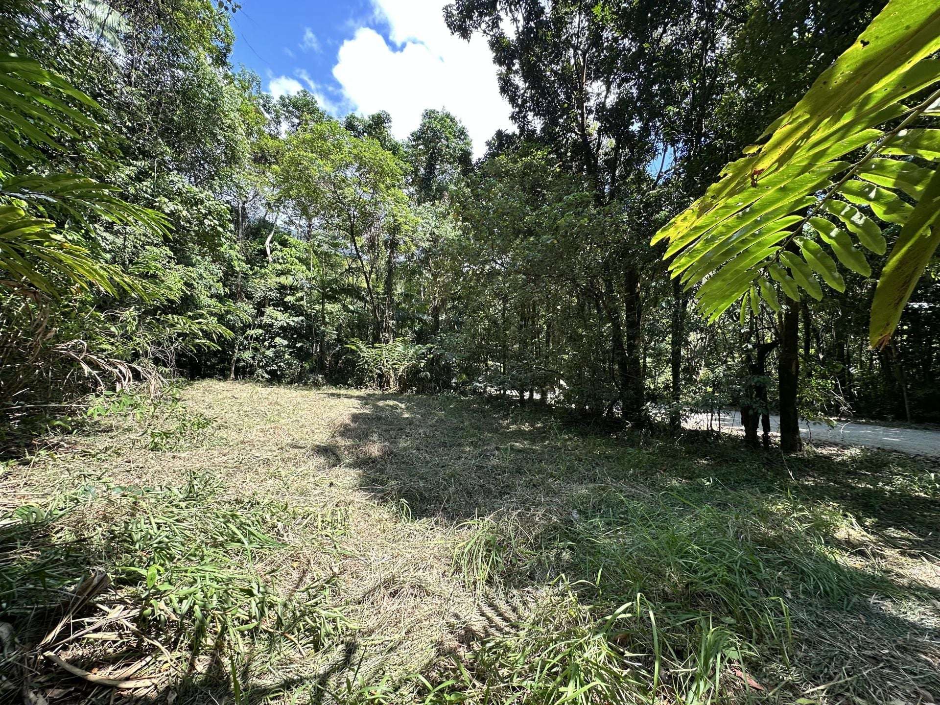 Cape Tribulation For Sale by Farmbuy.com - image 16