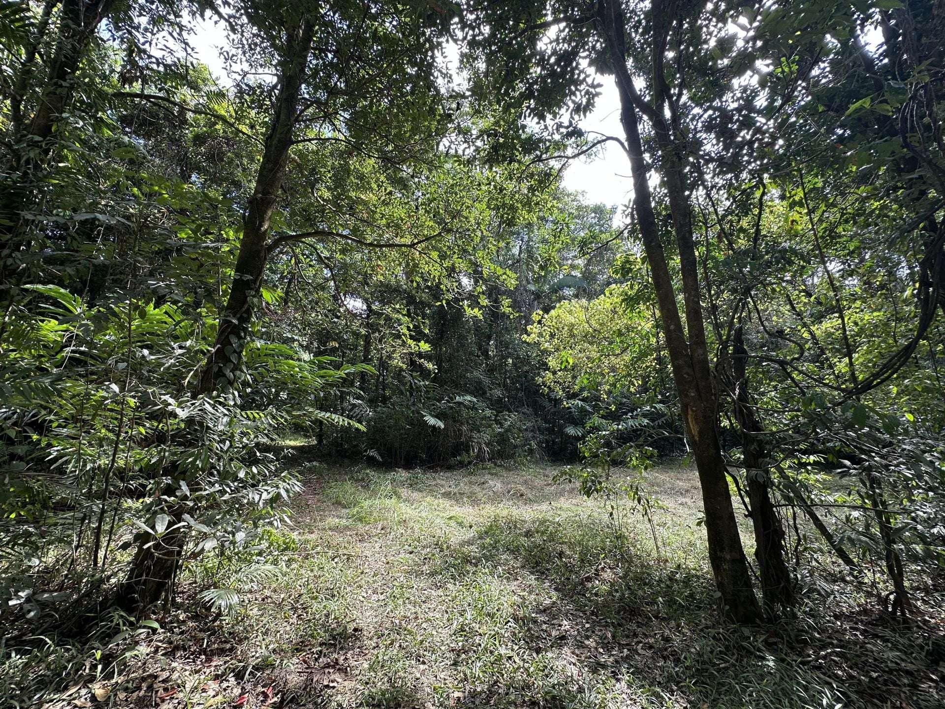 Cape Tribulation For Sale by Farmbuy.com - image 8