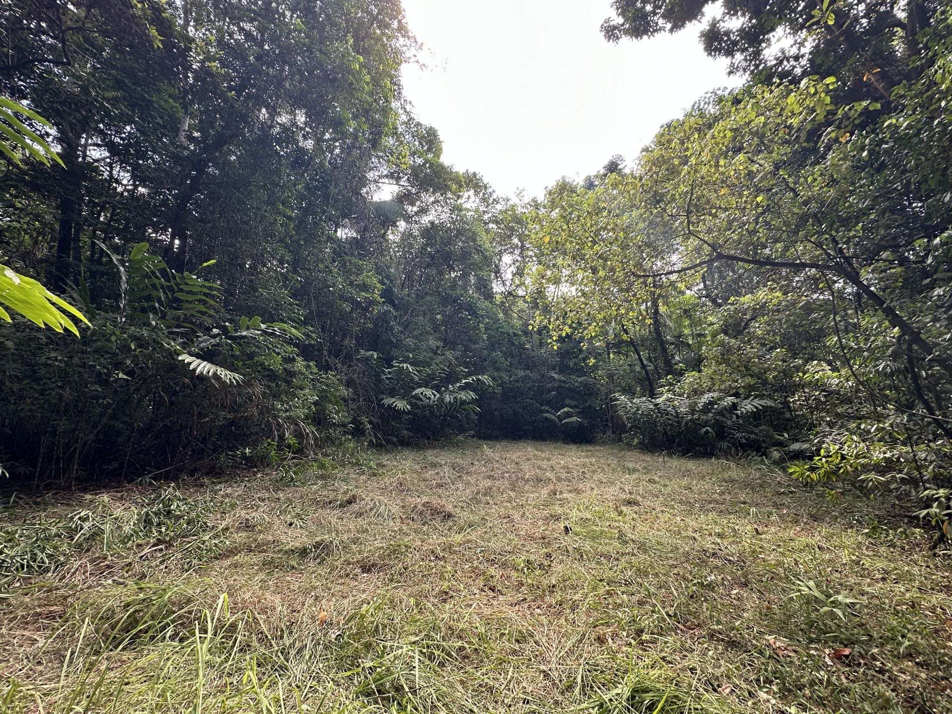 Cape Tribulation For Sale by Farmbuy.com - image 24