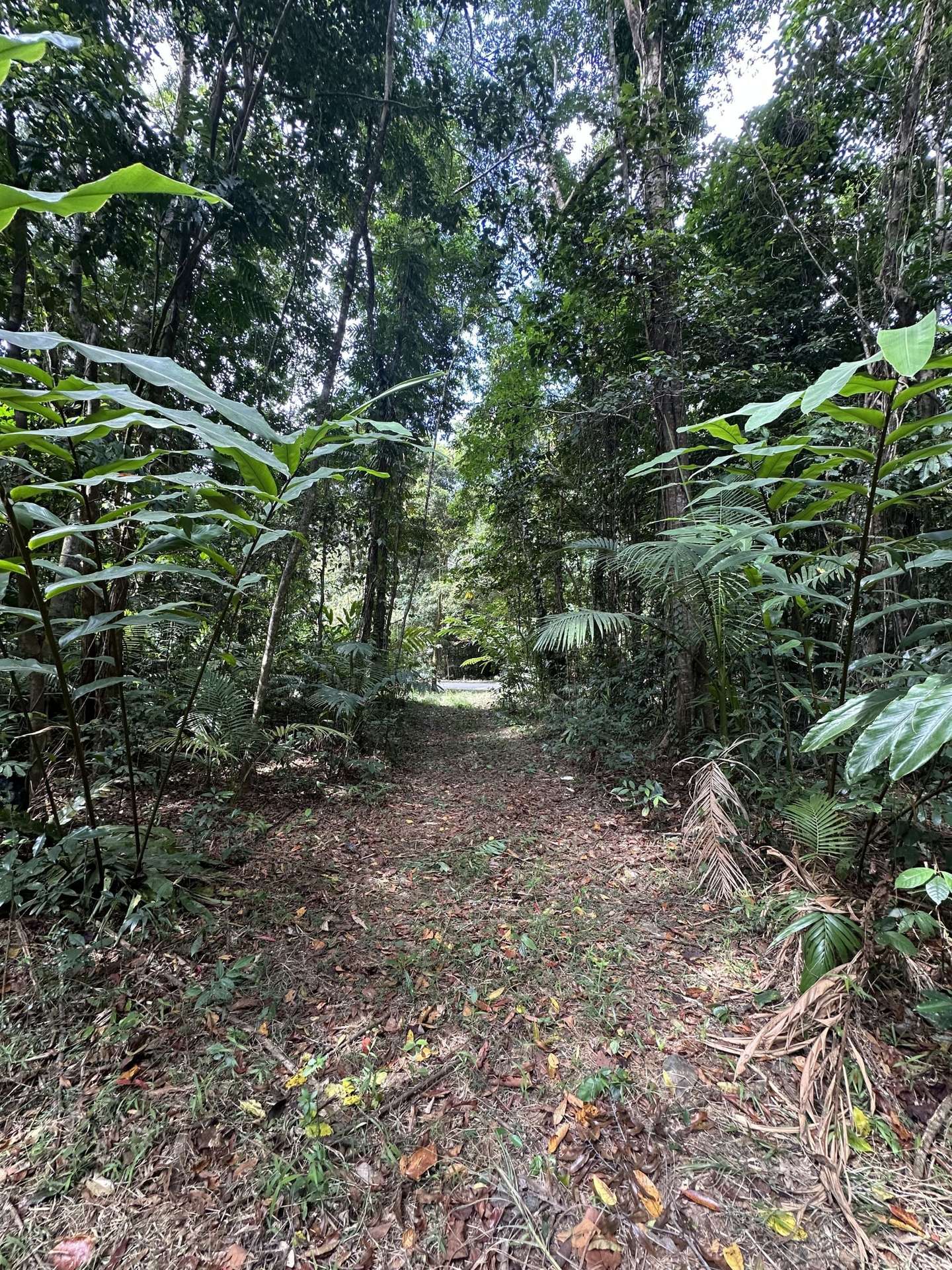Cape Tribulation For Sale by Farmbuy.com - image 25