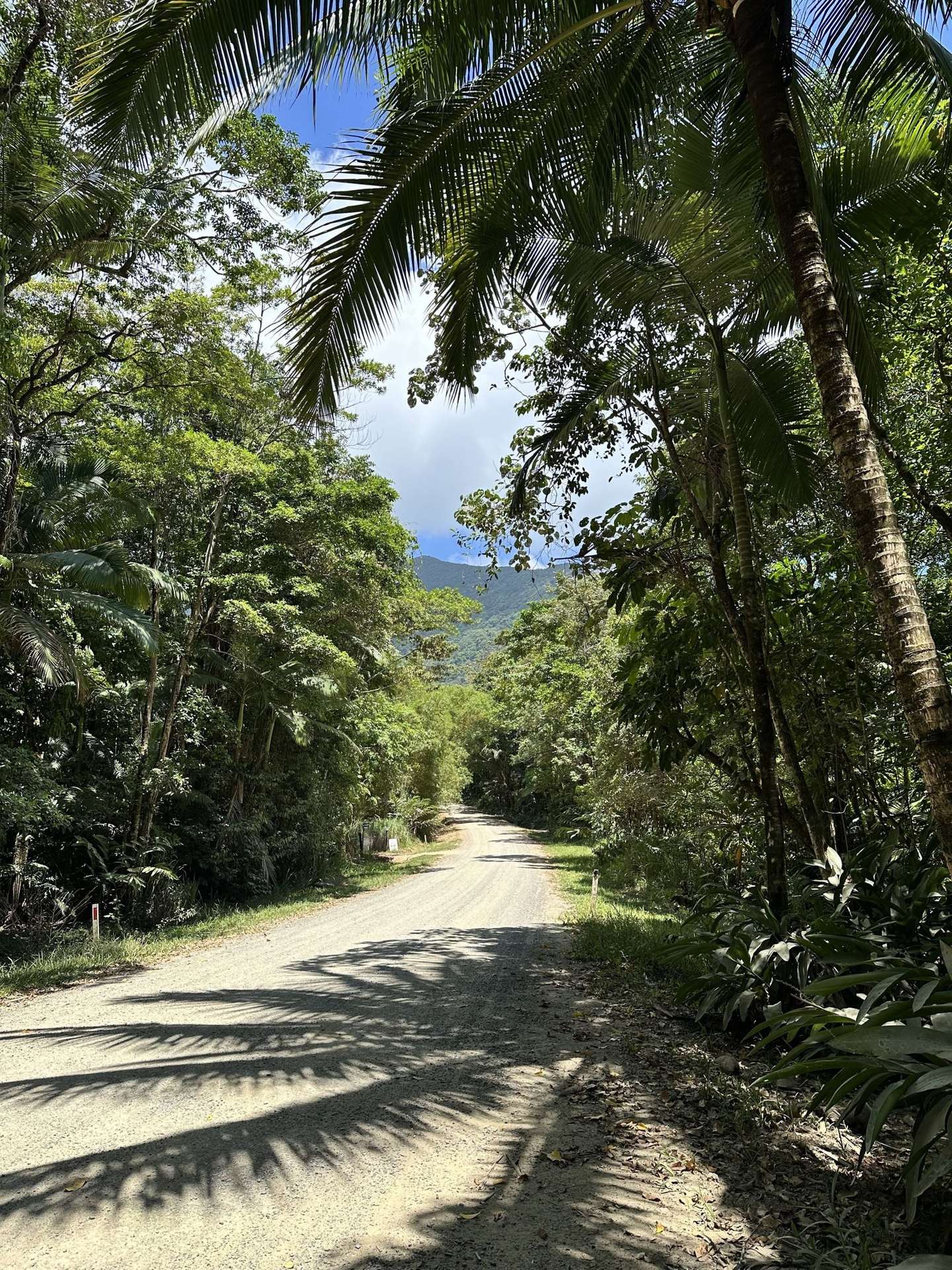Cape Tribulation For Sale by Farmbuy.com - image 6
