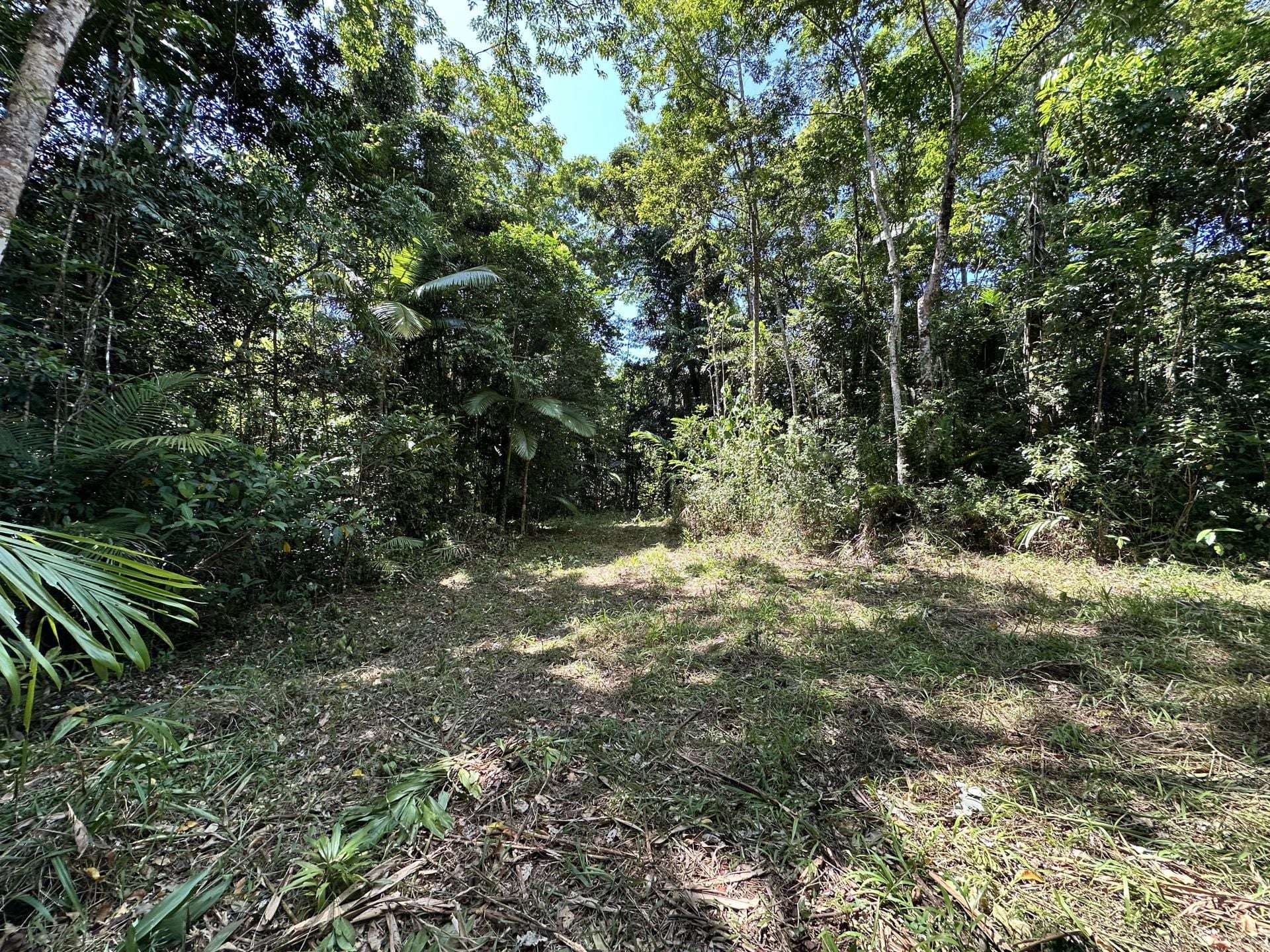 Cape Tribulation For Sale by Farmbuy.com - image 21
