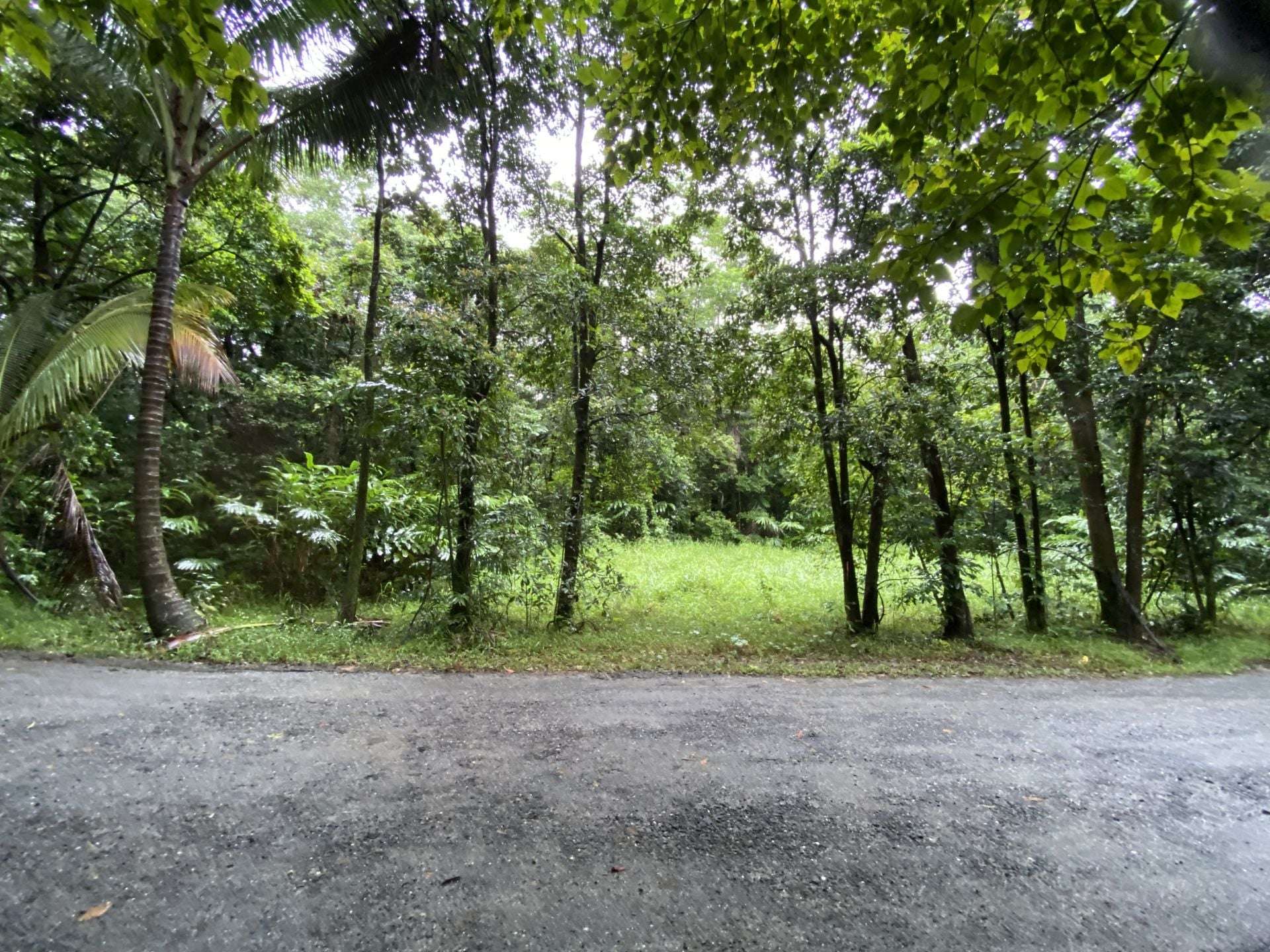 Cape Tribulation For Sale by Farmbuy.com - image 14