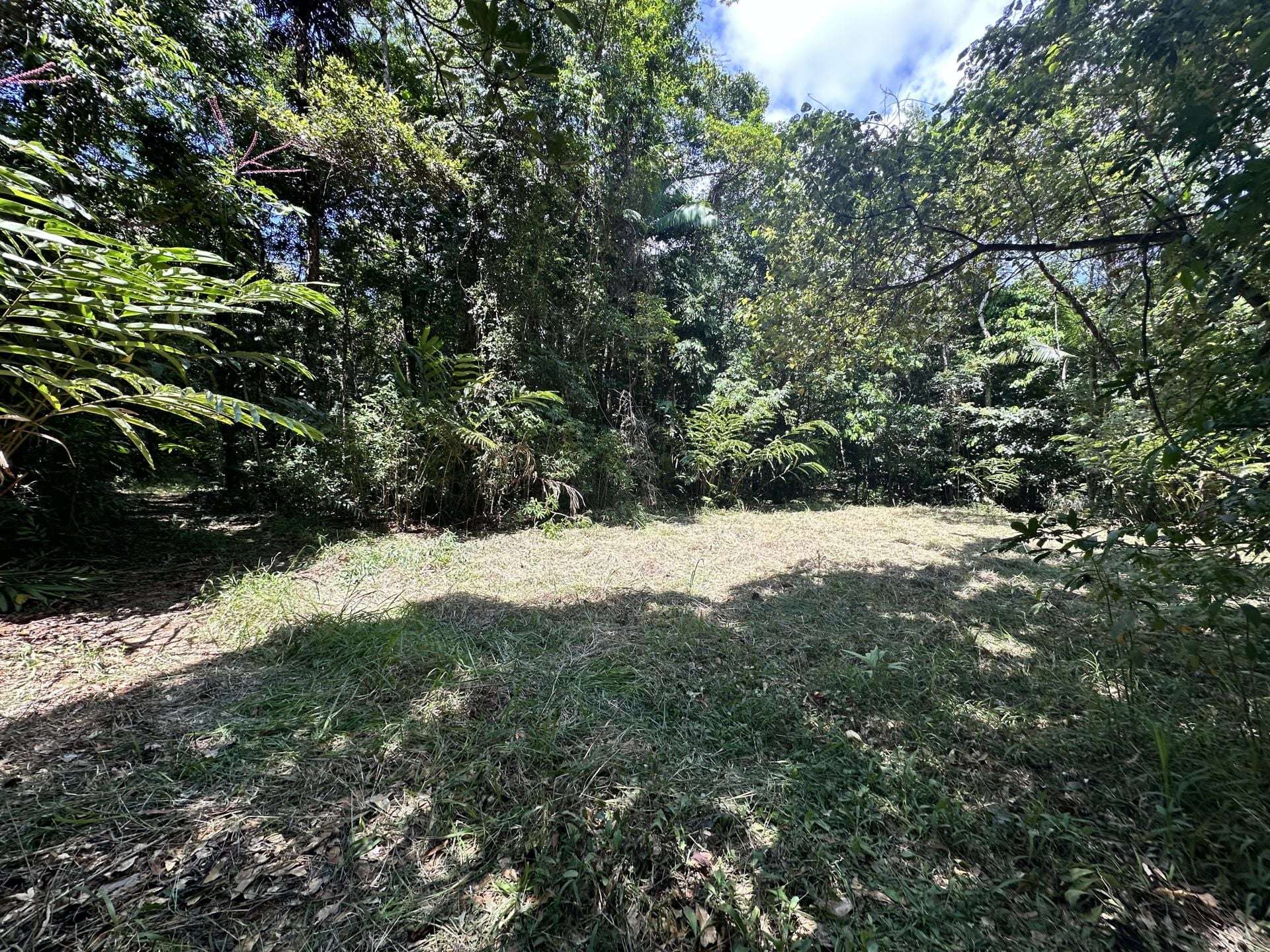 Cape Tribulation For Sale by Farmbuy.com - image 7