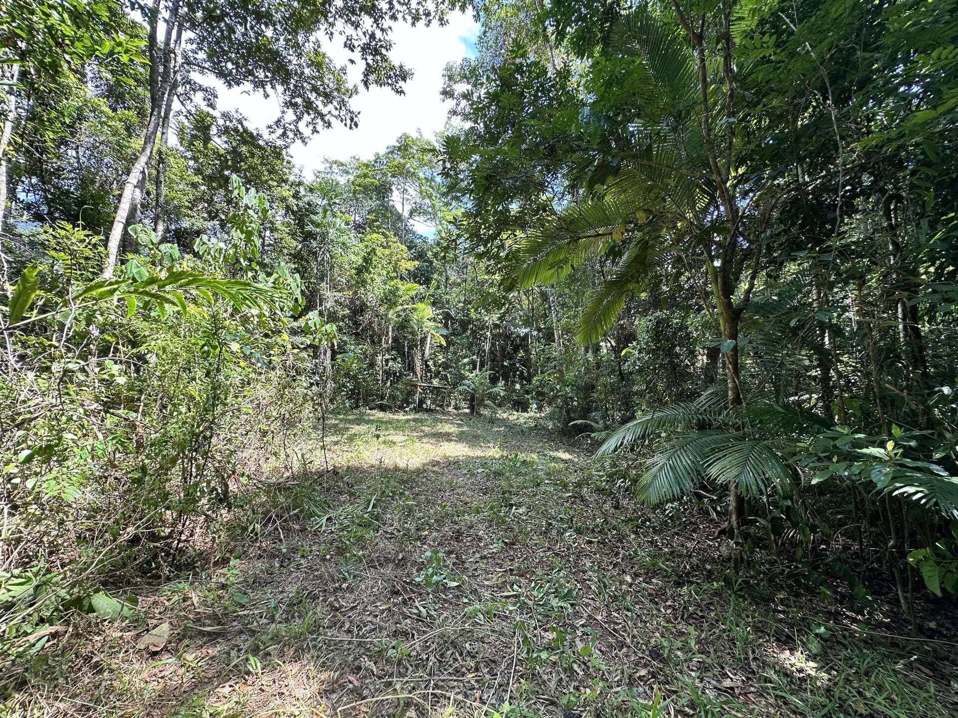 Cape Tribulation For Sale by Farmbuy.com - image 17