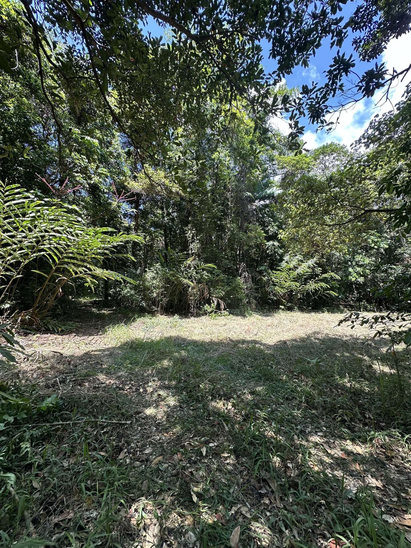 Cape Tribulation For Sale by Farmbuy.com - image 10