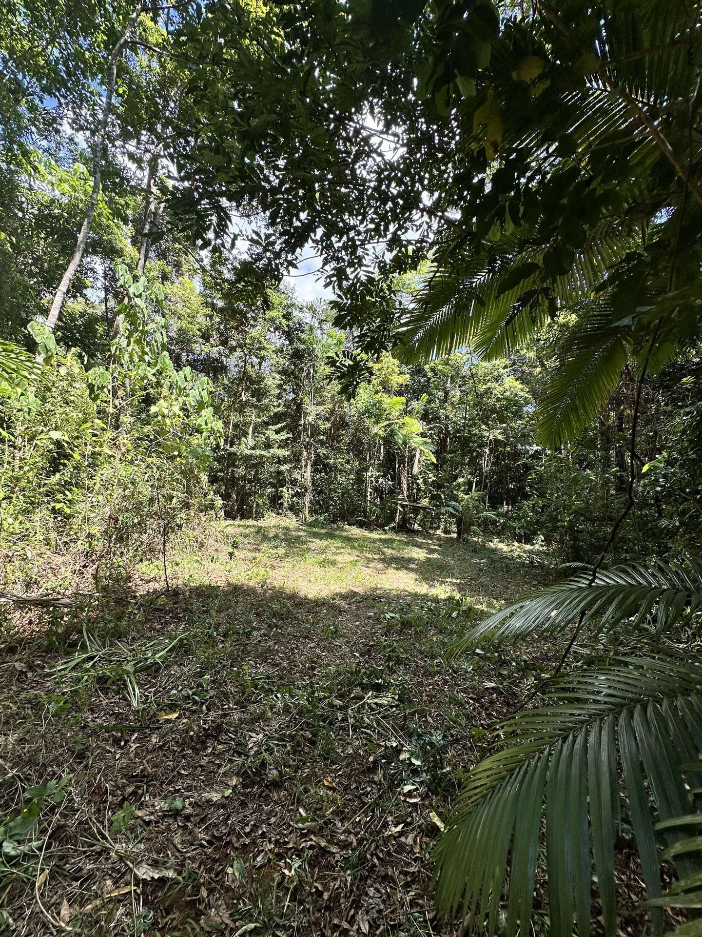 Cape Tribulation For Sale by Farmbuy.com - image 20