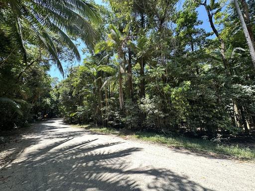 Cape Tribulation QLD 4873