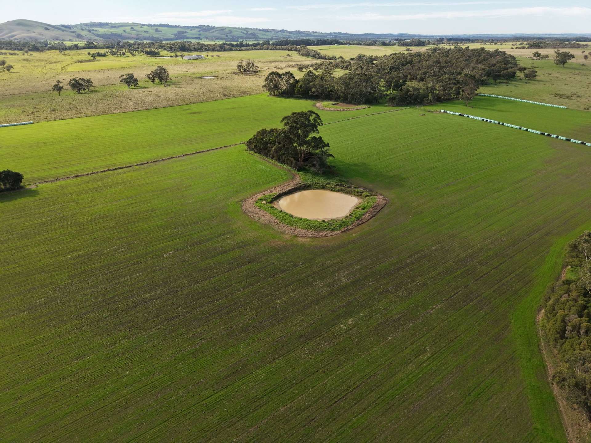 147 Outtrim-Inverloch Road, Outtrim For Sale by Farmbuy.com - image 12