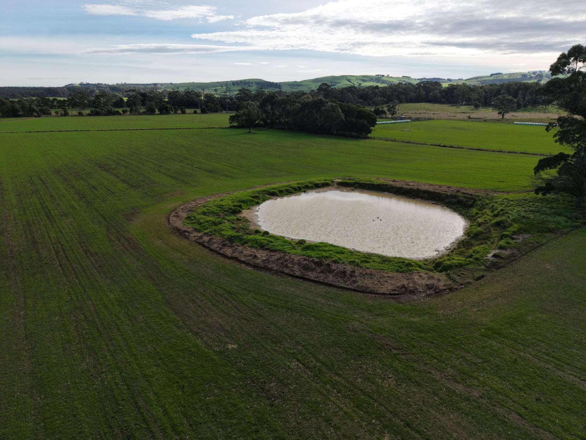147 Outtrim-Inverloch Road, Outtrim For Sale by Farmbuy.com - image 13