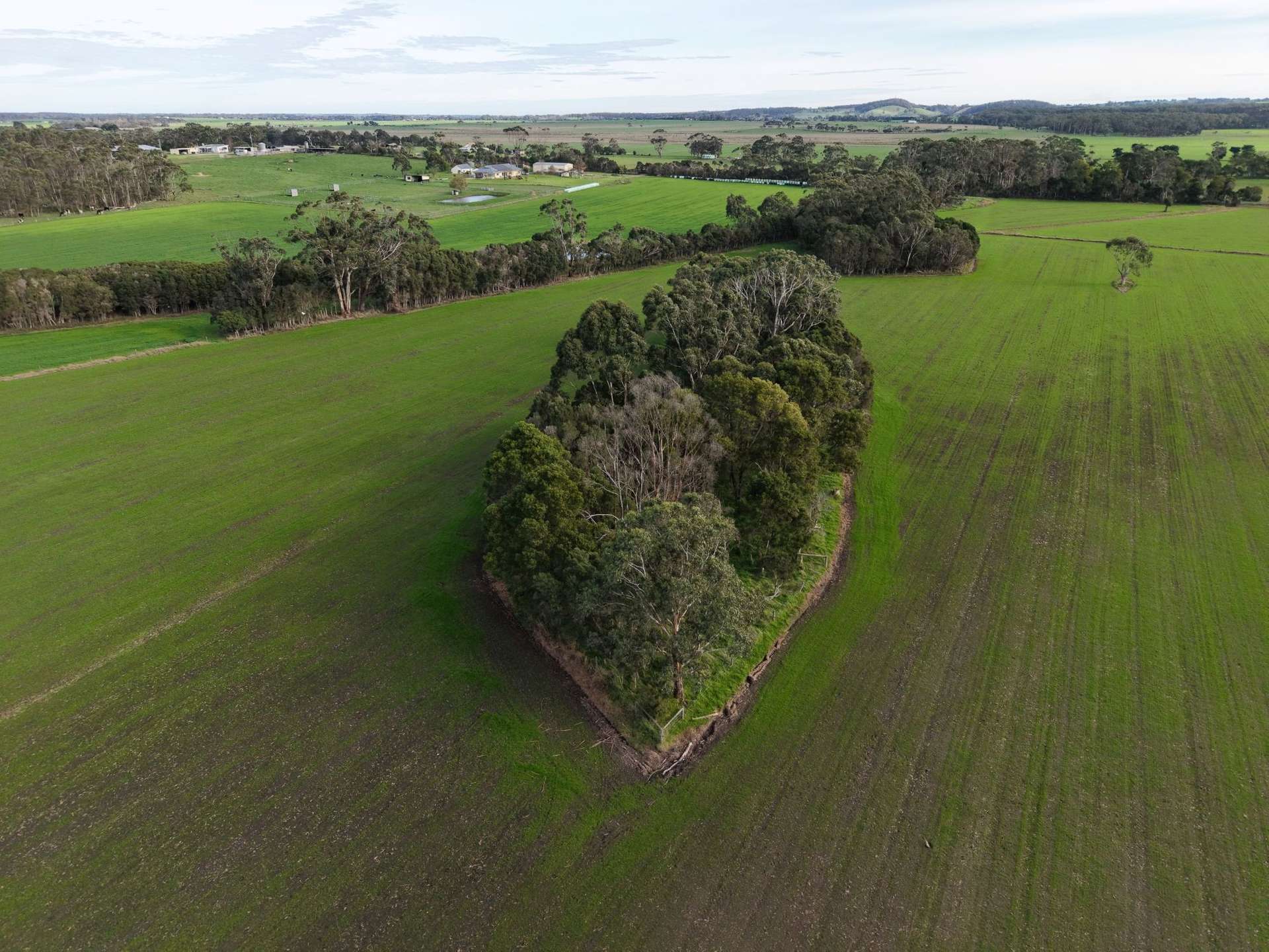 147 Outtrim-Inverloch Road, Outtrim For Sale by Farmbuy.com - image 14