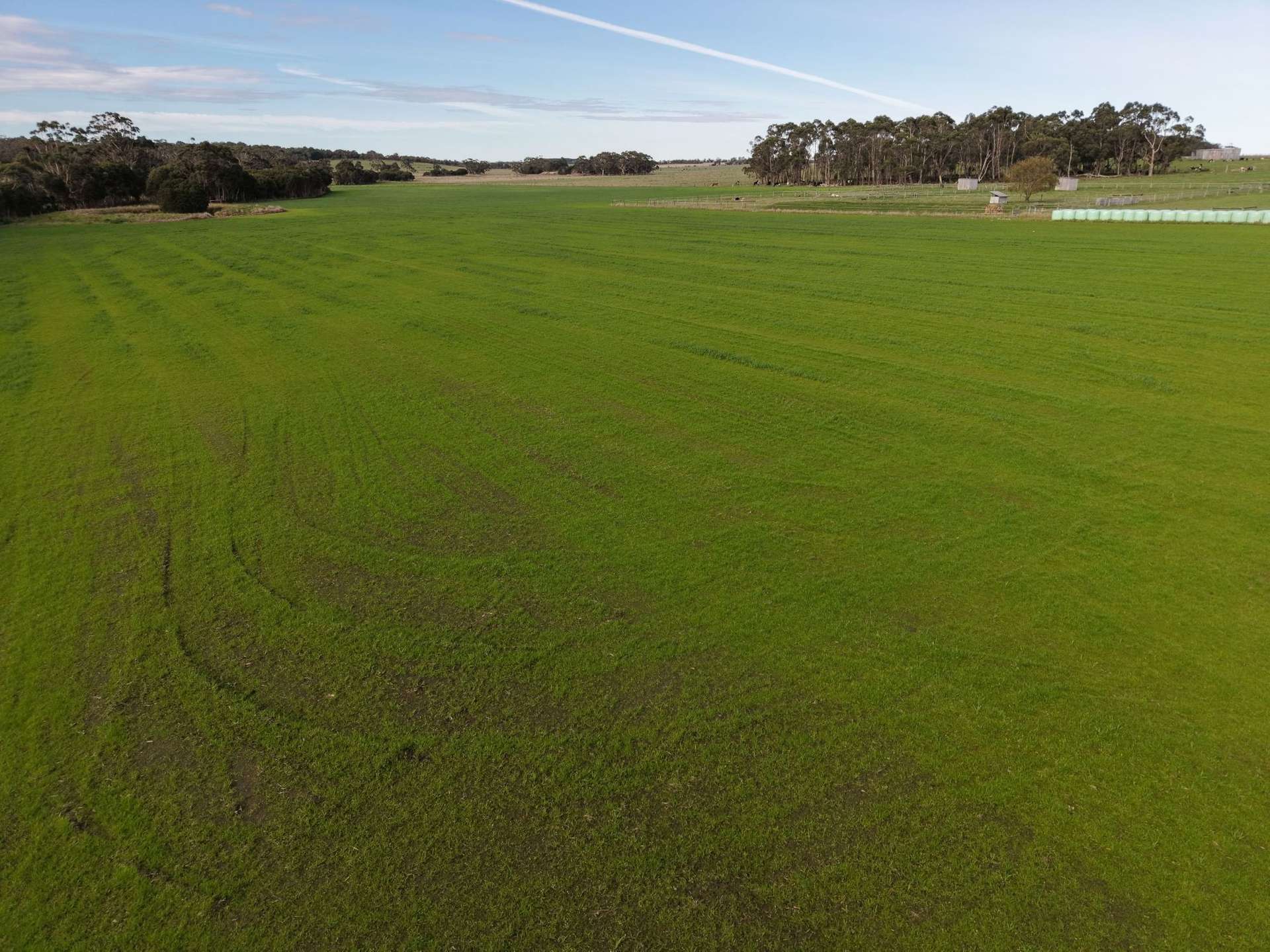 147 Outtrim-Inverloch Road, Outtrim For Sale by Farmbuy.com - image 10