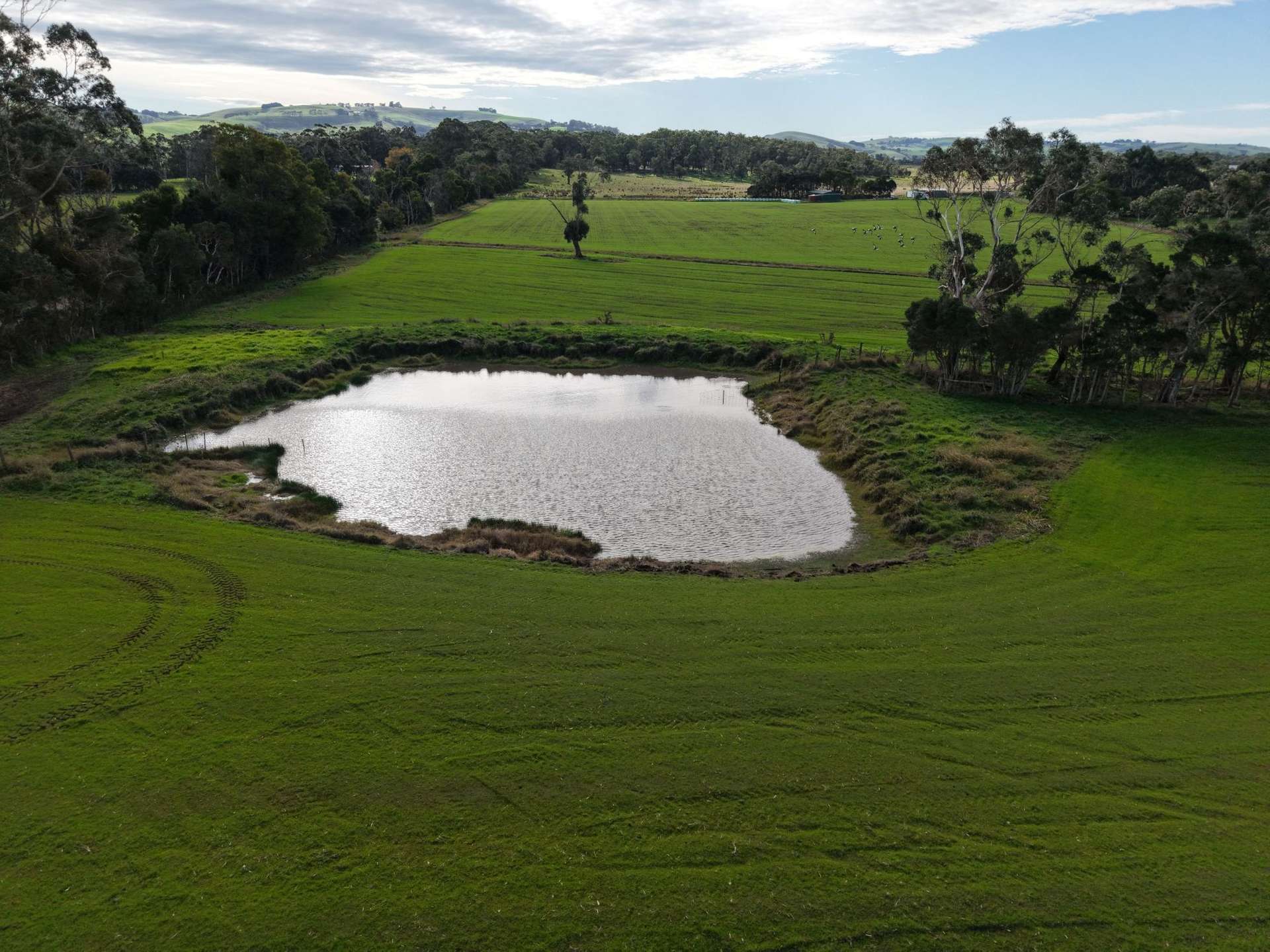 147 Outtrim-Inverloch Road, Outtrim For Sale by Farmbuy.com - image 9
