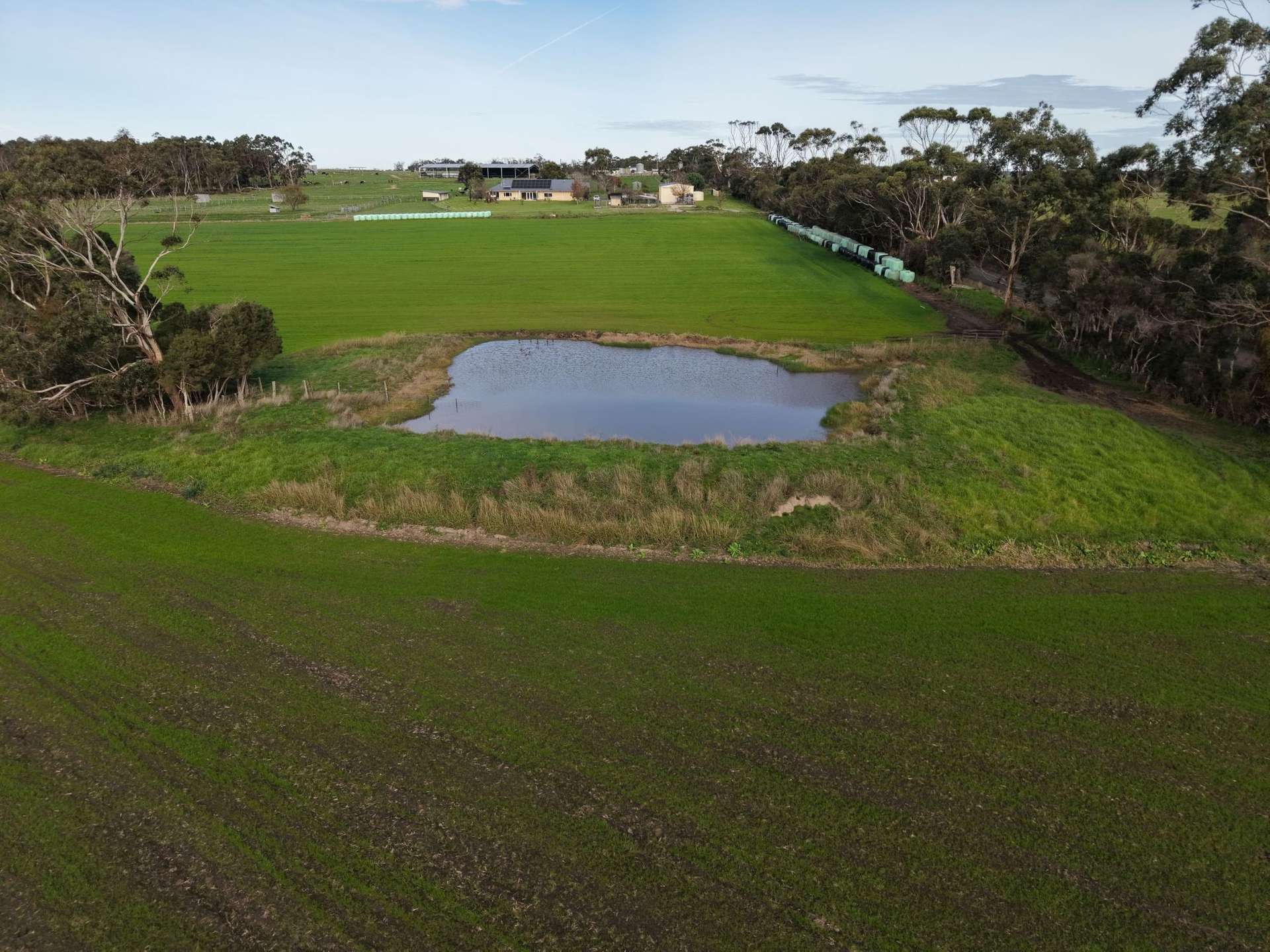 147 Outtrim-Inverloch Road, Outtrim For Sale by Farmbuy.com - image 8
