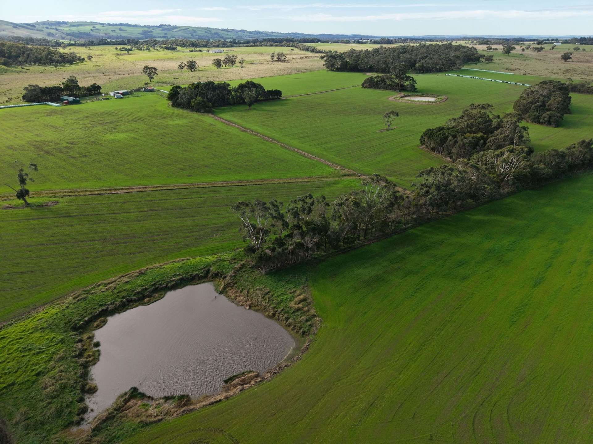 147 Outtrim-Inverloch Road, Outtrim For Sale by Farmbuy.com - image 11
