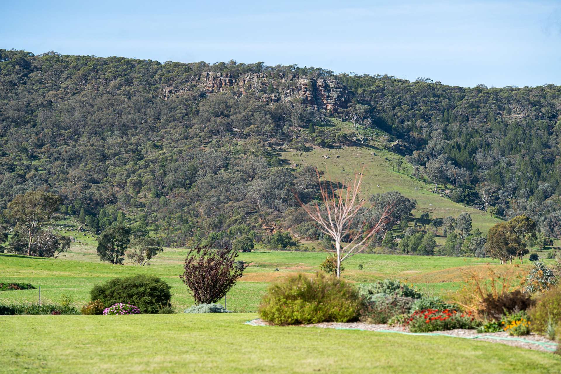 940 Coach Road, Culcairn For Sale by Farmbuy.com - image 29