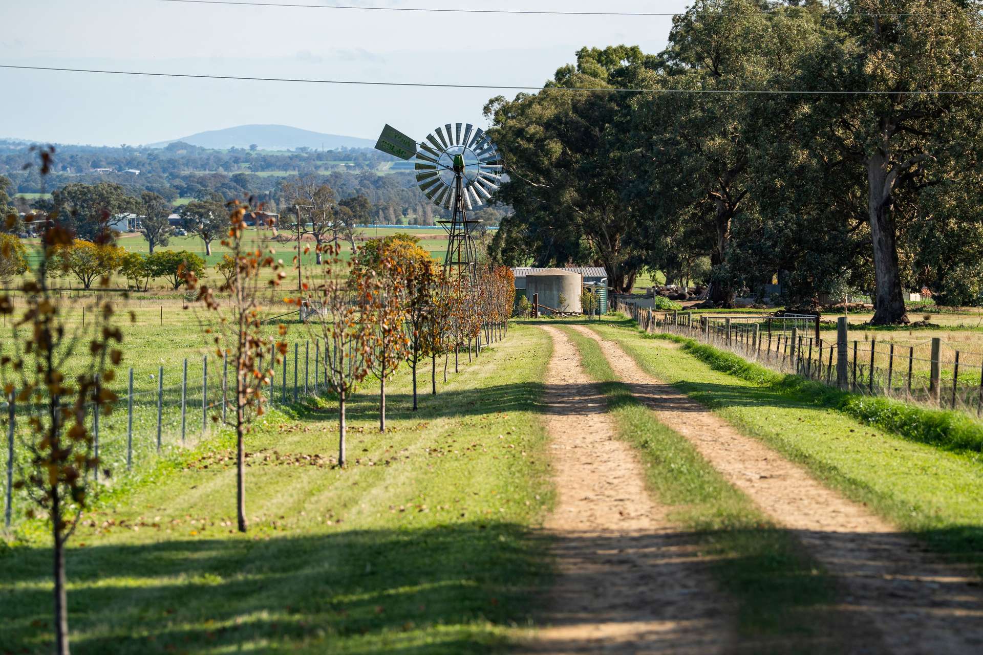 940 Coach Road, Culcairn For Sale by Farmbuy.com - image 27