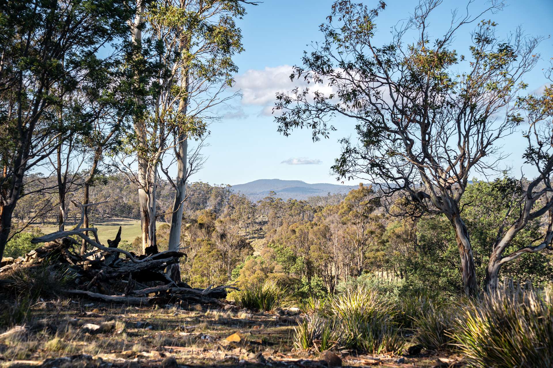 "Goat Gully/Old Hut Hill" Lemont Road, Lemont For Sale by Farmbuy.com - image 26