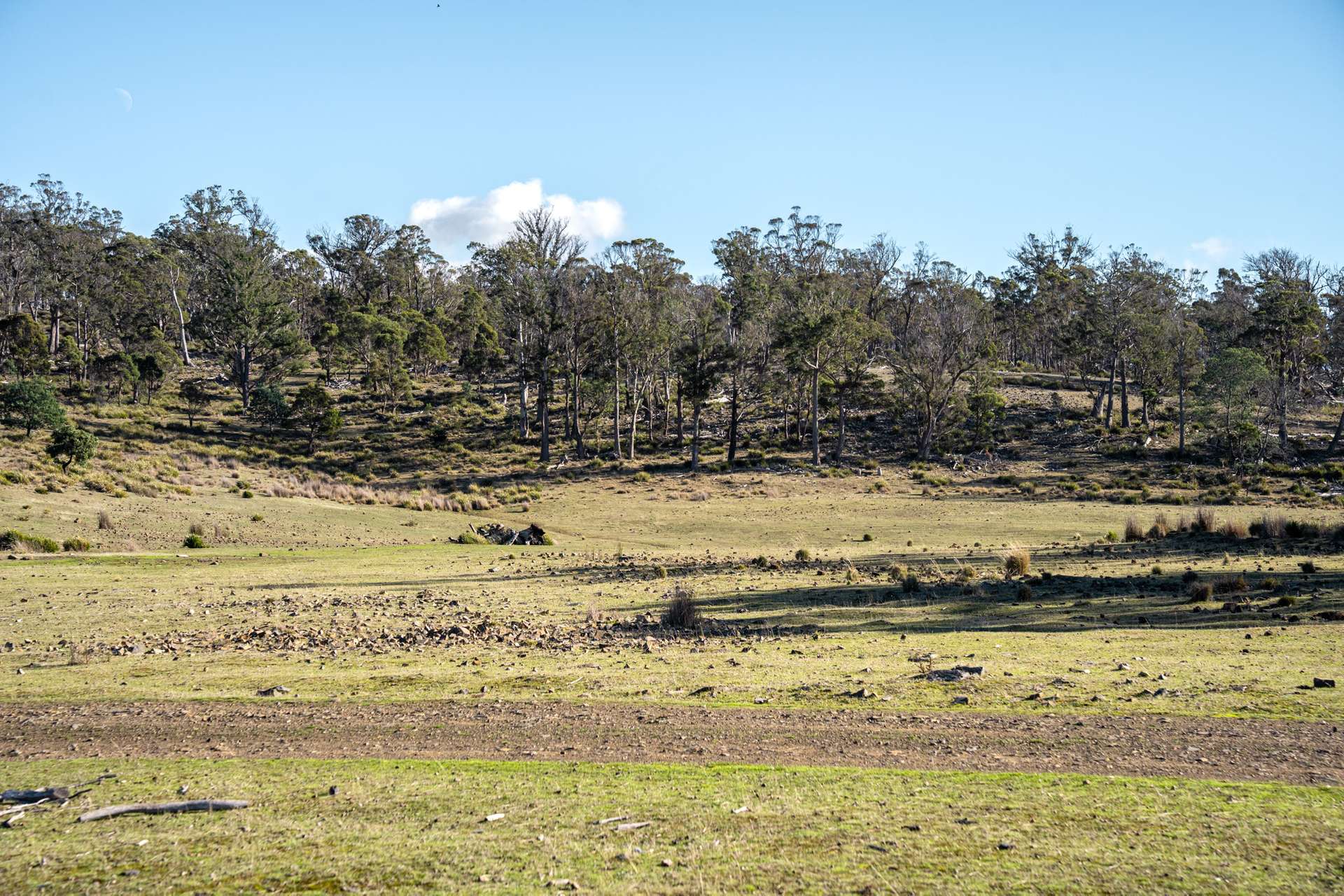 "Goat Gully/Old Hut Hill" Lemont Road, Lemont For Sale by Farmbuy.com - image 20