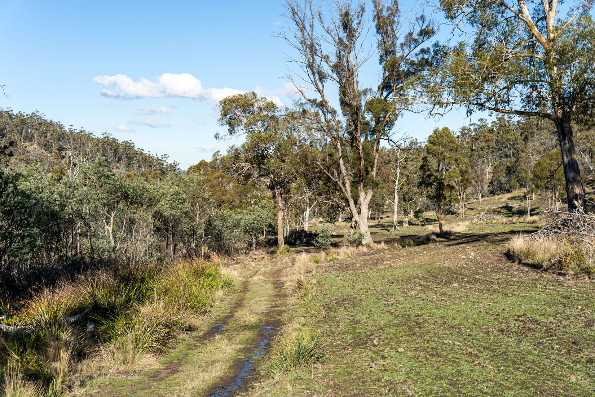 "Goat Gully/Old Hut Hill" Lemont Road, Lemont For Sale by Farmbuy.com - image 34