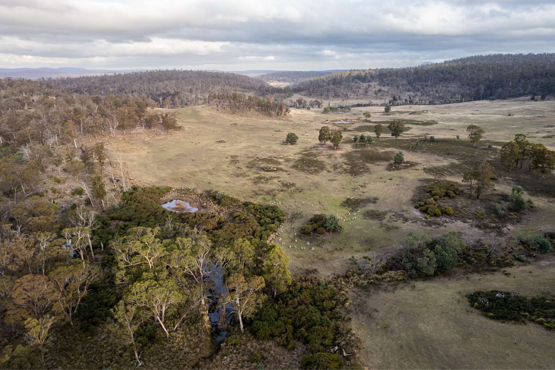 "Goat Gully/Old Hut Hill" Lemont Road, Lemont For Sale by Farmbuy.com - image 6