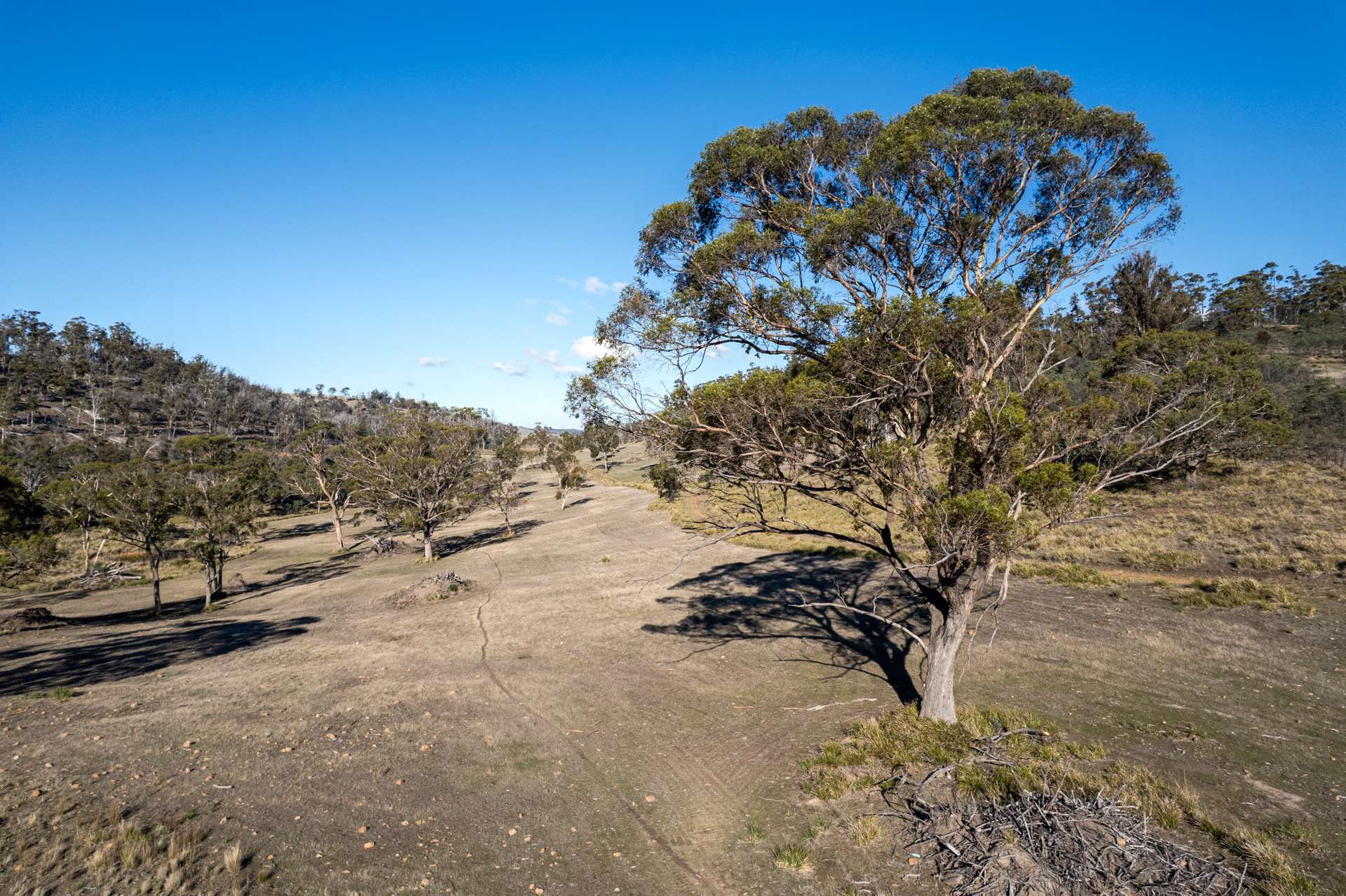 "Goat Gully/Old Hut Hill" Lemont Road, Lemont For Sale by Farmbuy.com - image 10