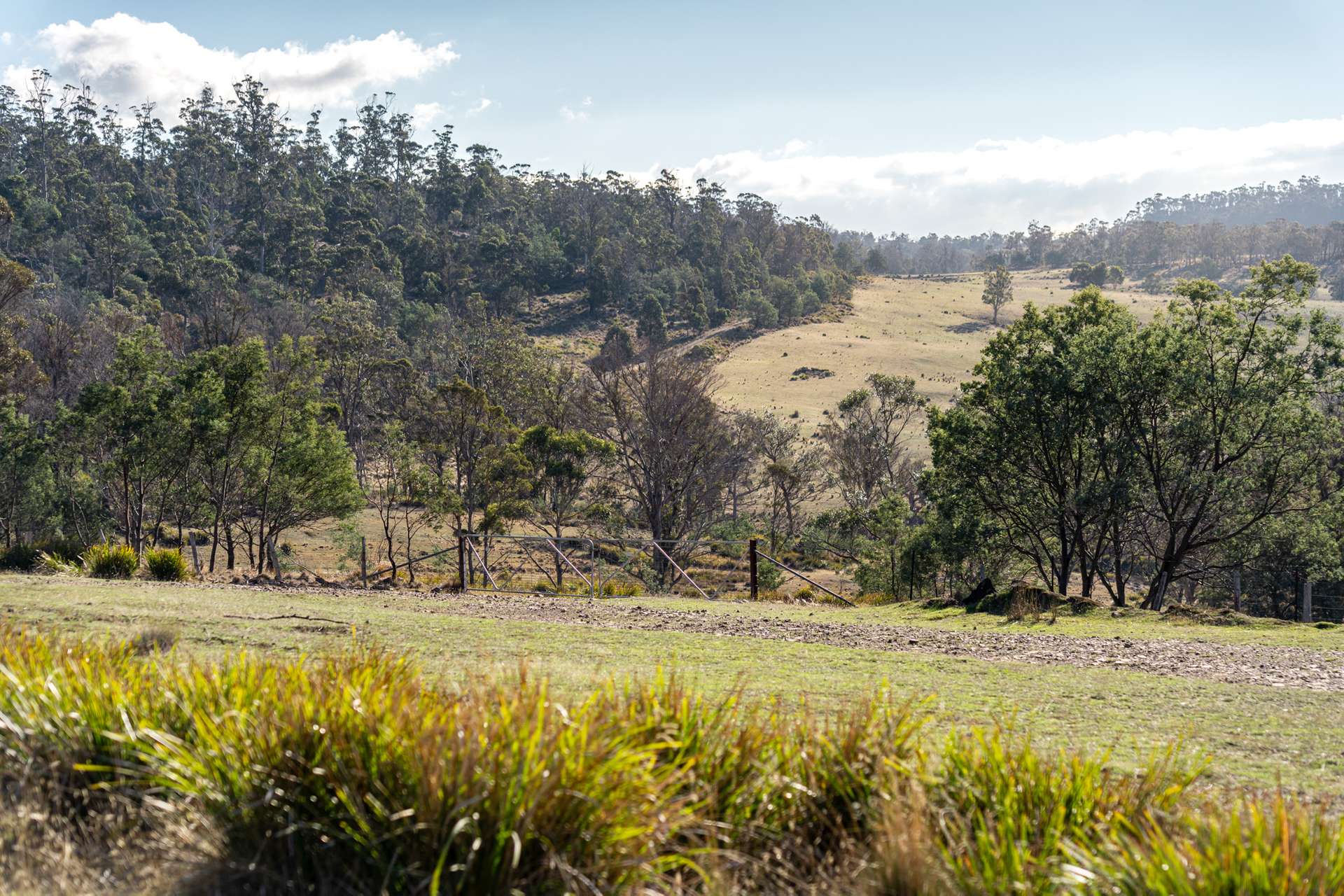 "Goat Gully/Old Hut Hill" Lemont Road, Lemont For Sale by Farmbuy.com - image 8