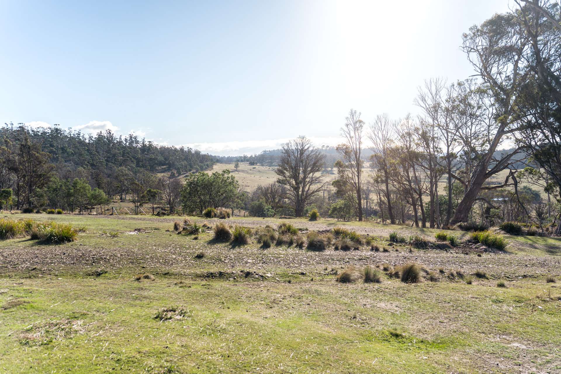 "Goat Gully/Old Hut Hill" Lemont Road, Lemont For Sale by Farmbuy.com - image 33