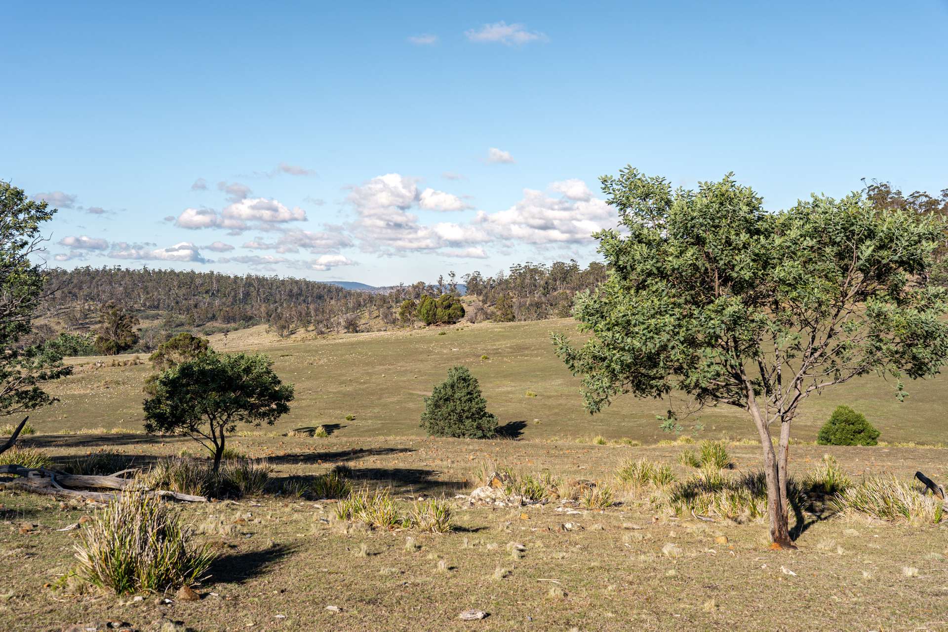 "Goat Gully/Old Hut Hill" Lemont Road, Lemont For Sale by Farmbuy.com - image 11