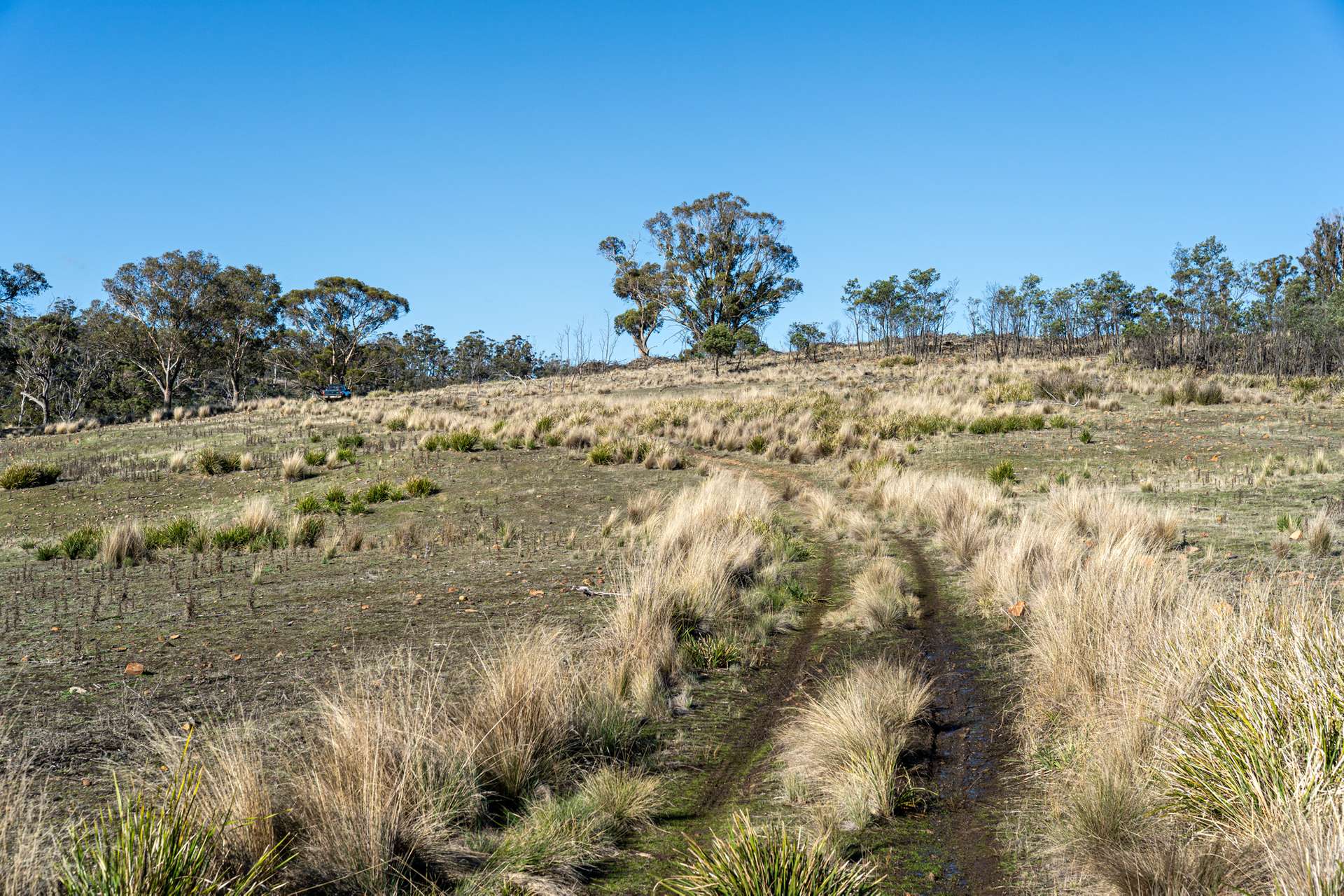 "Goat Gully/Old Hut Hill" Lemont Road, Lemont For Sale by Farmbuy.com - image 30