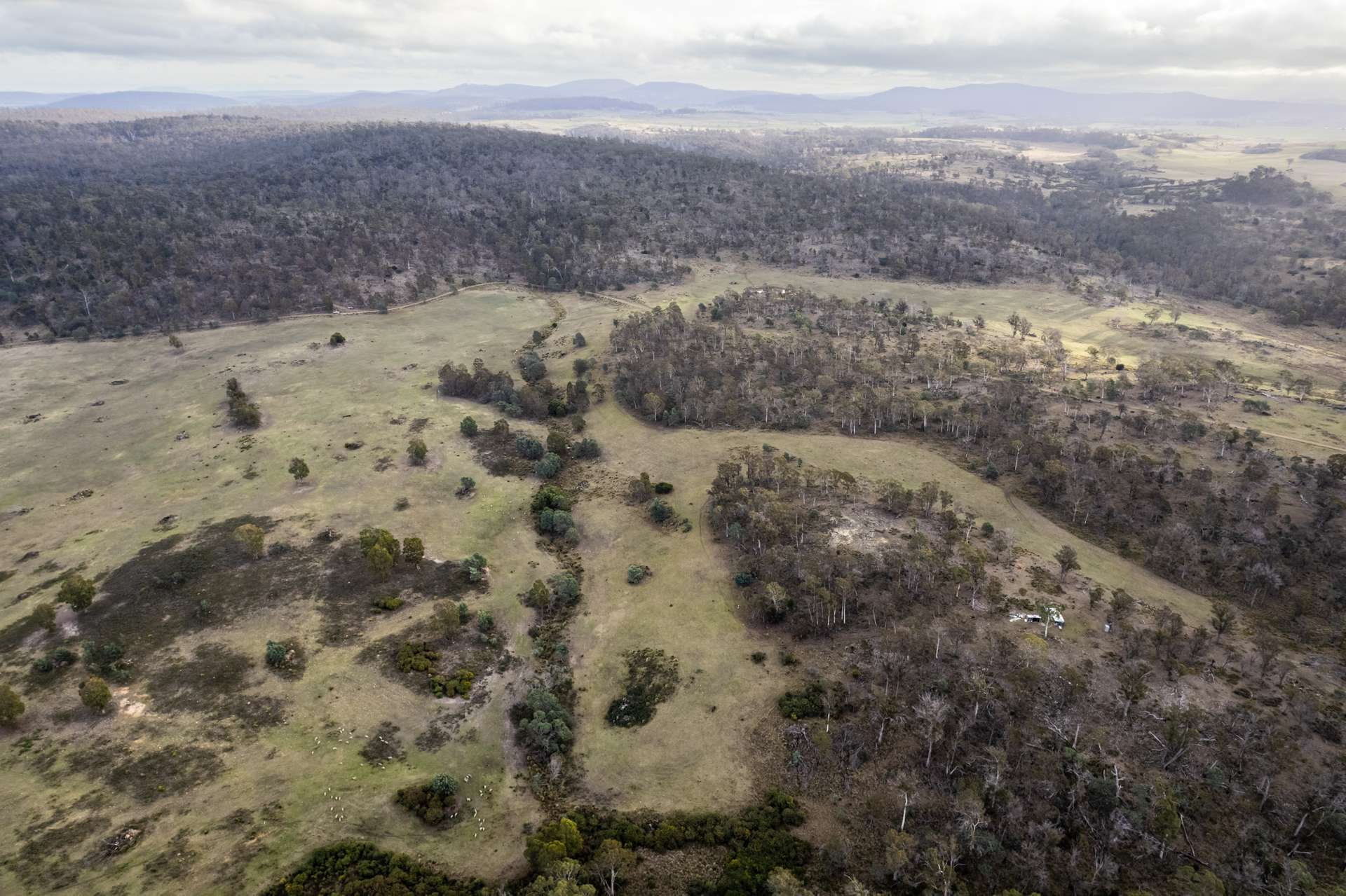 "Goat Gully/Old Hut Hill" Lemont Road, Lemont For Sale by Farmbuy.com - image 17