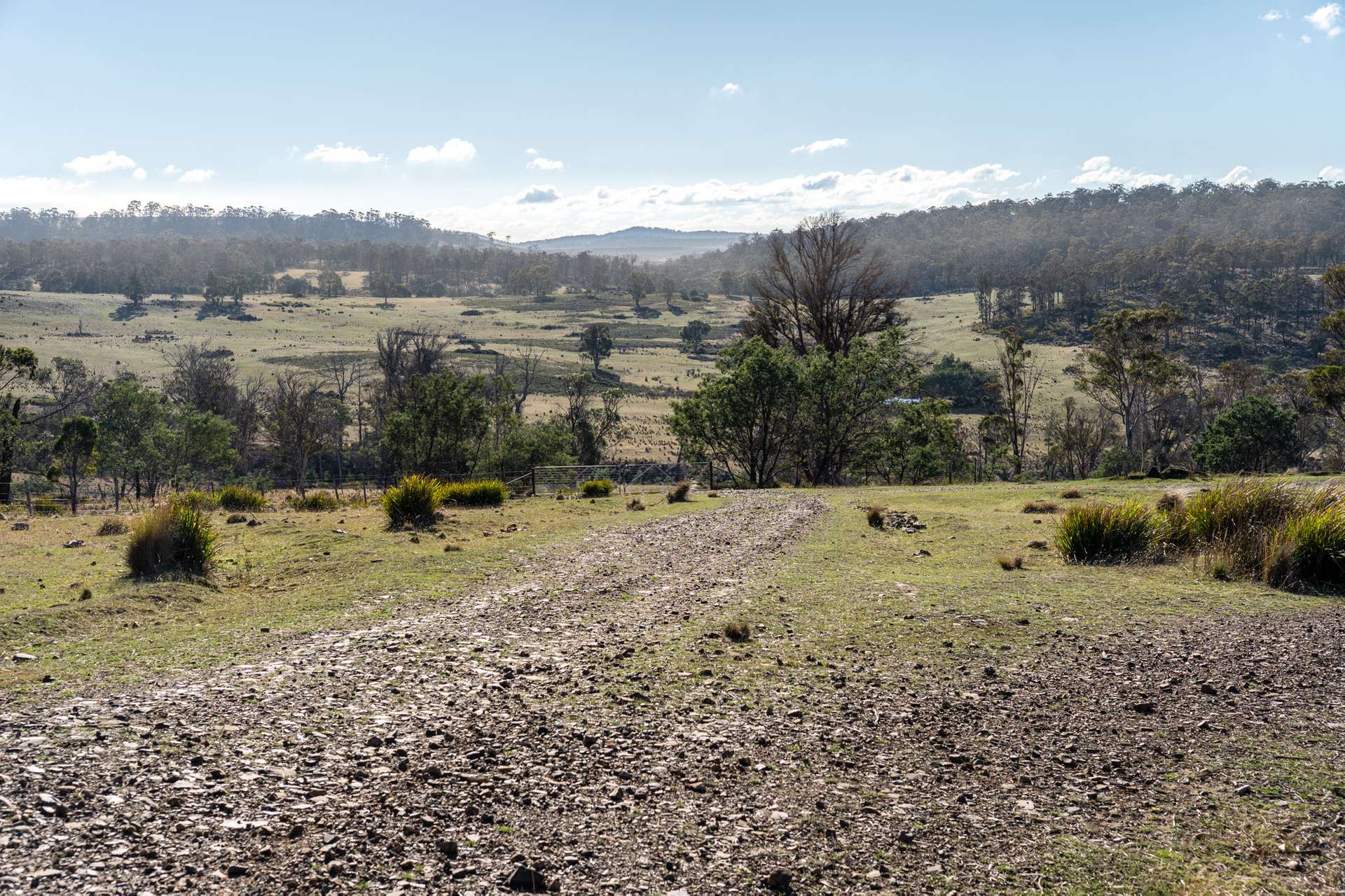 "Goat Gully/Old Hut Hill" Lemont Road, Lemont For Sale by Farmbuy.com - image 5