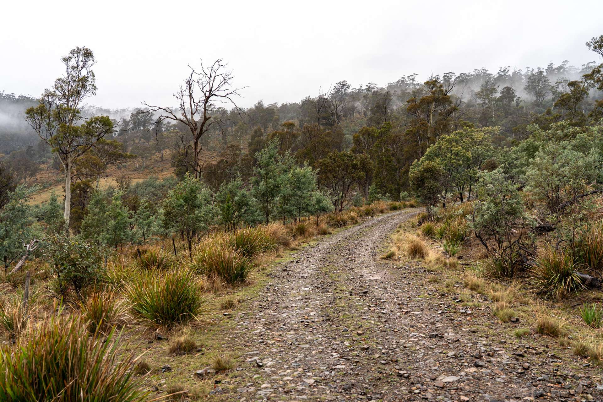 "Goat Gully/Old Hut Hill" Lemont Road, Lemont For Sale by Farmbuy.com - image 16