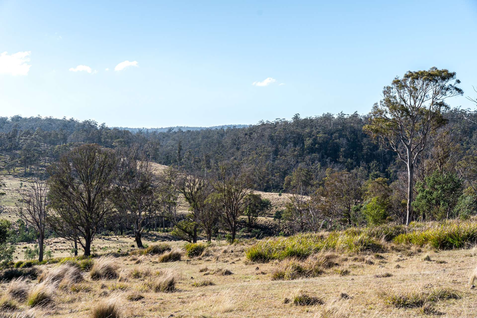 "Goat Gully/Old Hut Hill" Lemont Road, Lemont For Sale by Farmbuy.com - image 31