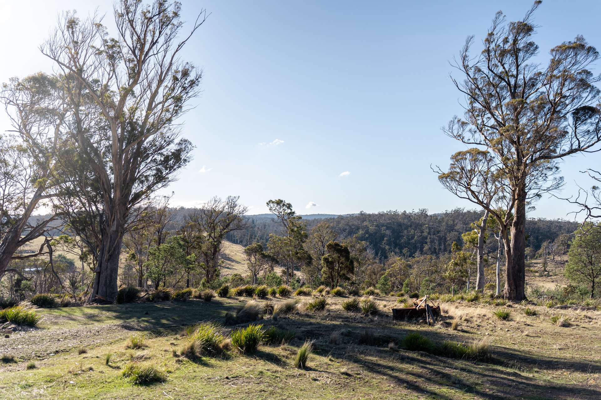 "Goat Gully/Old Hut Hill" Lemont Road, Lemont For Sale by Farmbuy.com - image 32