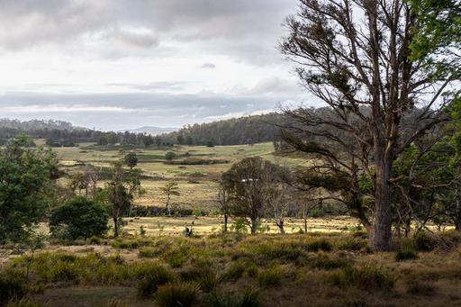 "Goat Gully/Old Hut Hill" Lemont Road, Lemont TAS 7120