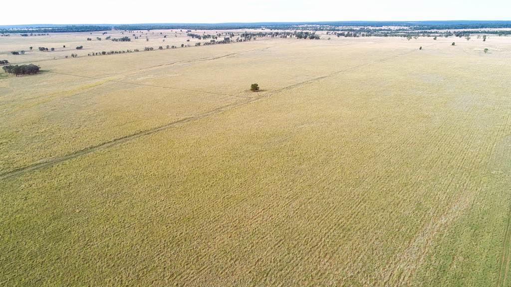 'The Haven' 1164 Moores Bice Road, Drillham QLD 4424
