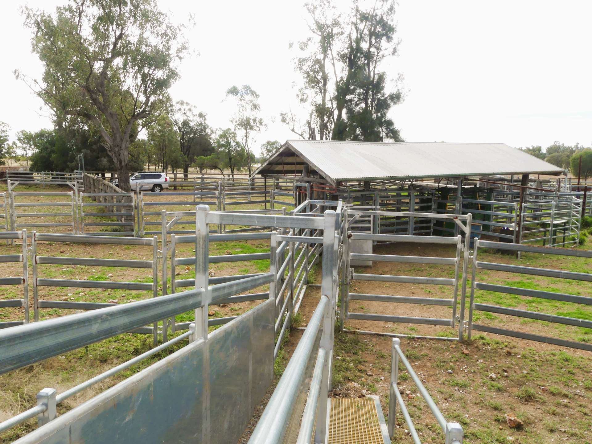 'The Haven' 1164 Moores Bice Road, Drillham For Sale by Farmbuy.com - image 16