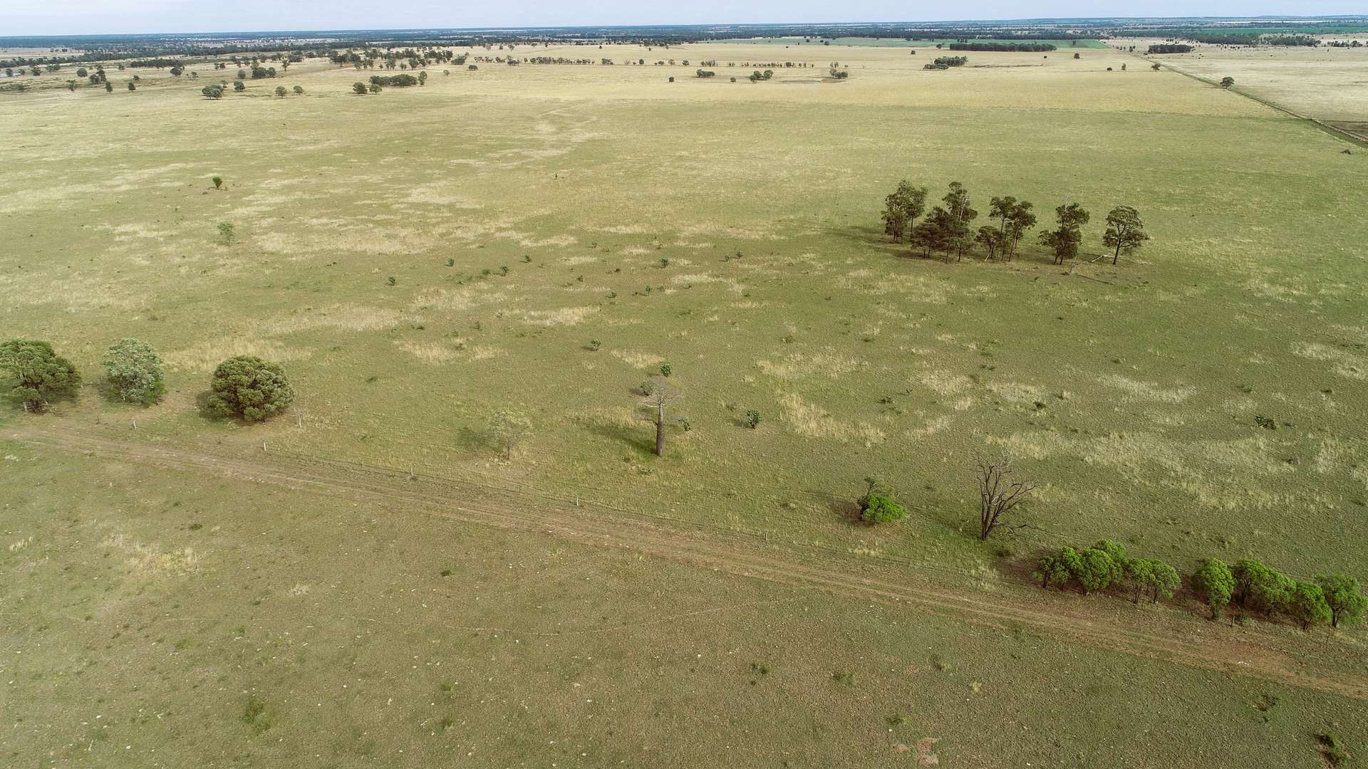 'The Haven' 1164 Moores Bice Road, Drillham For Sale by Farmbuy.com - image 24