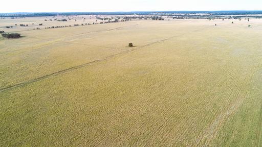 'The Haven' 1164 Moores Bice Road, Drillham QLD 4424